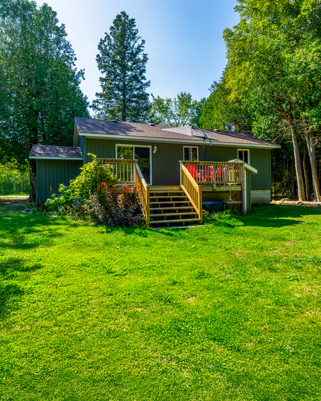 A house with blue siding, a small wooden deck with stairs, and surrounded by lush green grass and tall trees.
