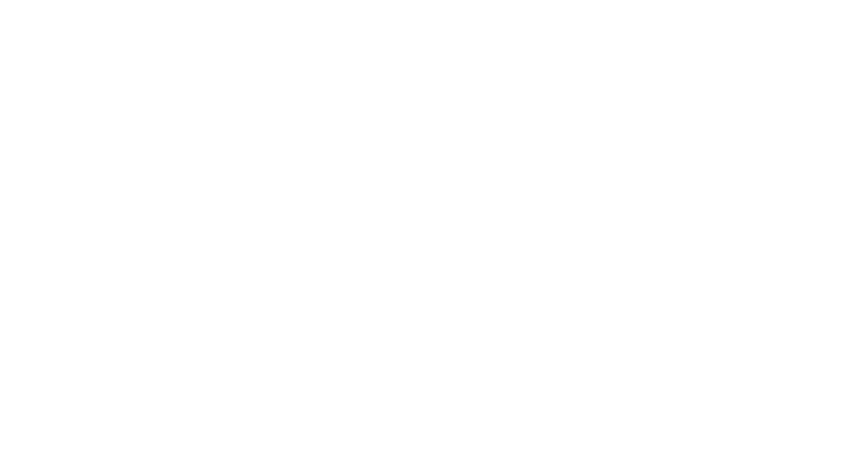 The Spirit City