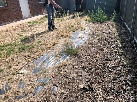 From weeds and dirt to a stunning backyard. This rental property got the makeover it deserved and doesn’t it look fabulous πͺ΄
 
#landscaping #backyard #concrete #gardens #gardenlife #landscaping #homeimprovement #gardendesign #patio #outdoorliv