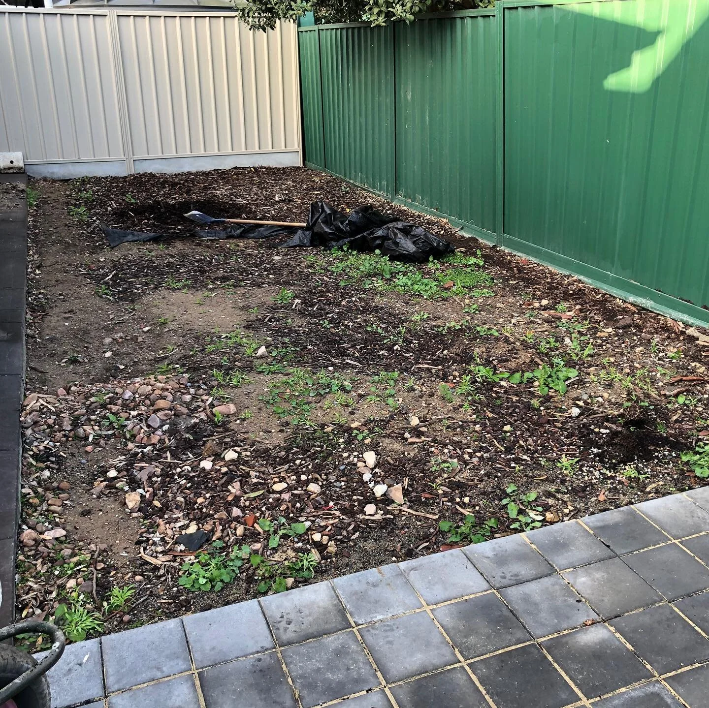 A couple backyards in Adelaide who wanted to get ready for the summer with some new lawn.
#greendayz #gardens #garden #gardening #gardendesign #gardenlife #gardener #landscape #gardensofinstagram #gardeninspiration #landscaping #gardeners #flower #g