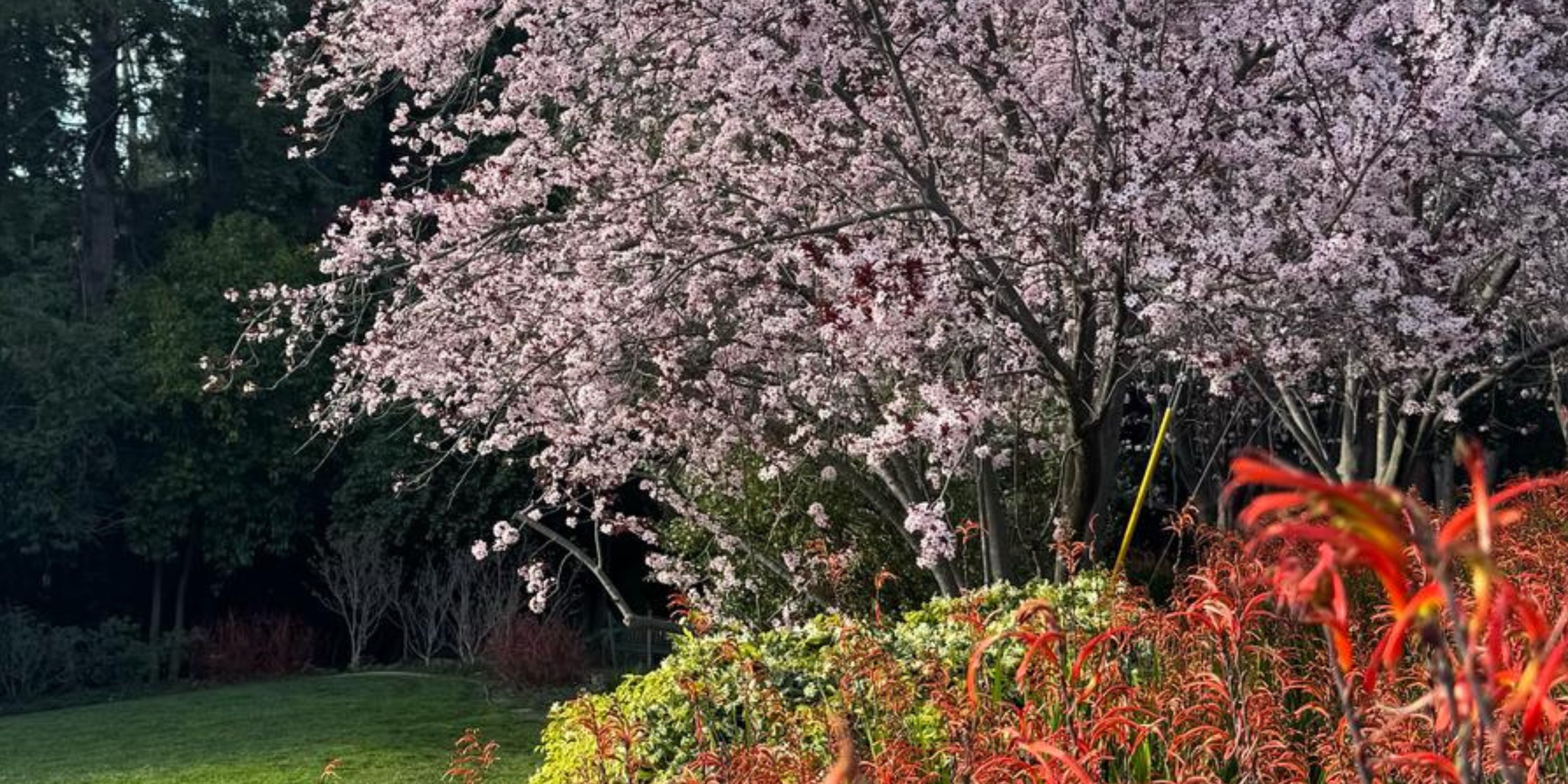 Spring Equinopx Spring Equinox: A Season of Renewal & Movement — Move With Studio