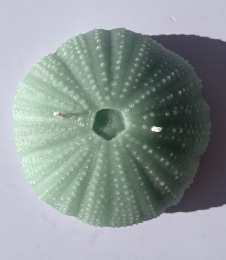 Screenshot 2025-08-01 at 2.12.48 PM.png