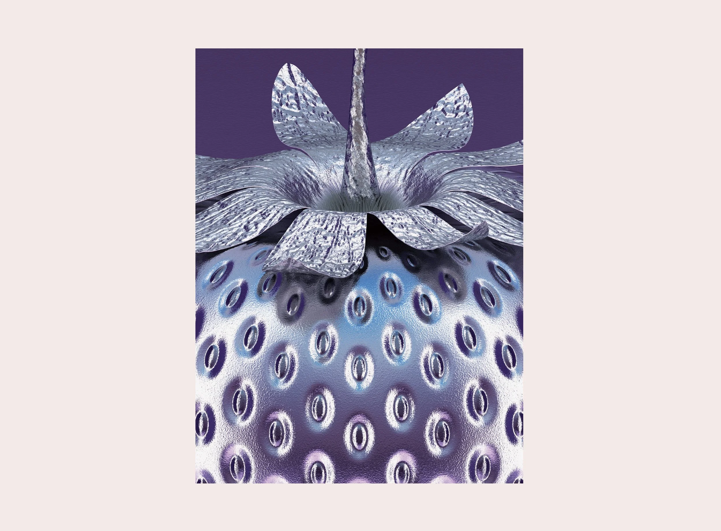GEN-PURPLE-SBERRY-DETAIL-25.jpg