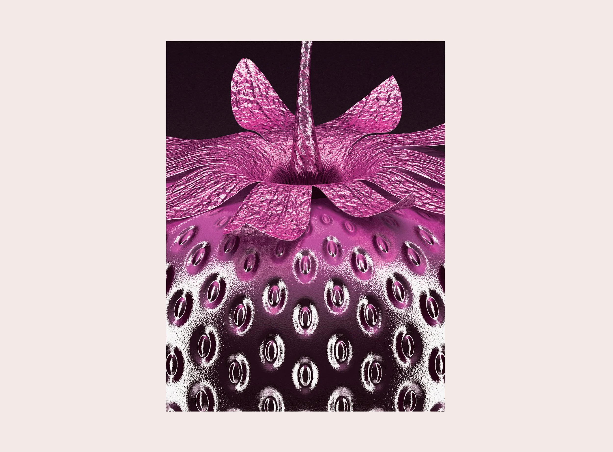 GEN-PINK-DARKSBERRY-DETAIL-25.jpg