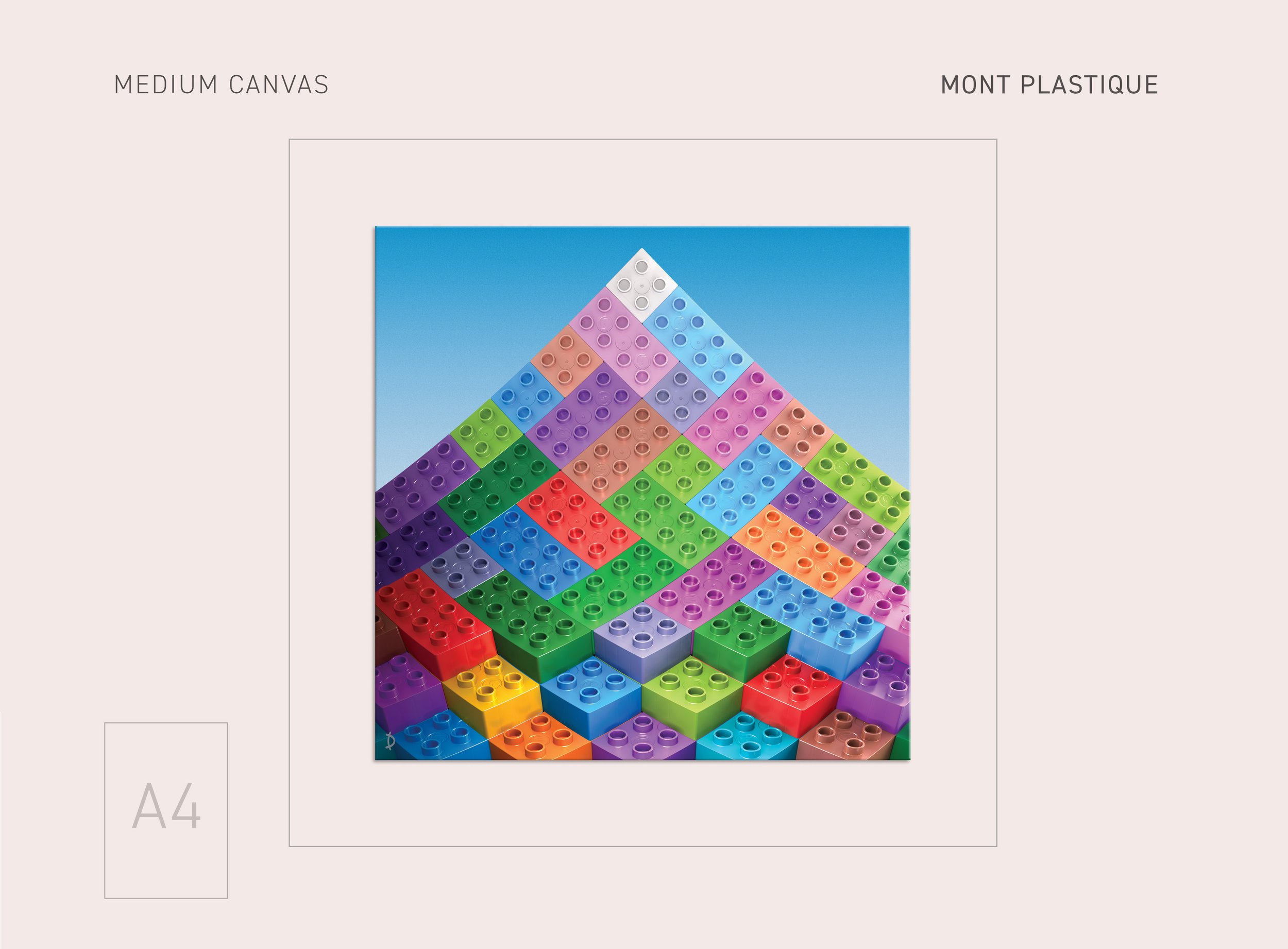 MDCAN-MONTPLASTIQUE-25.jpg