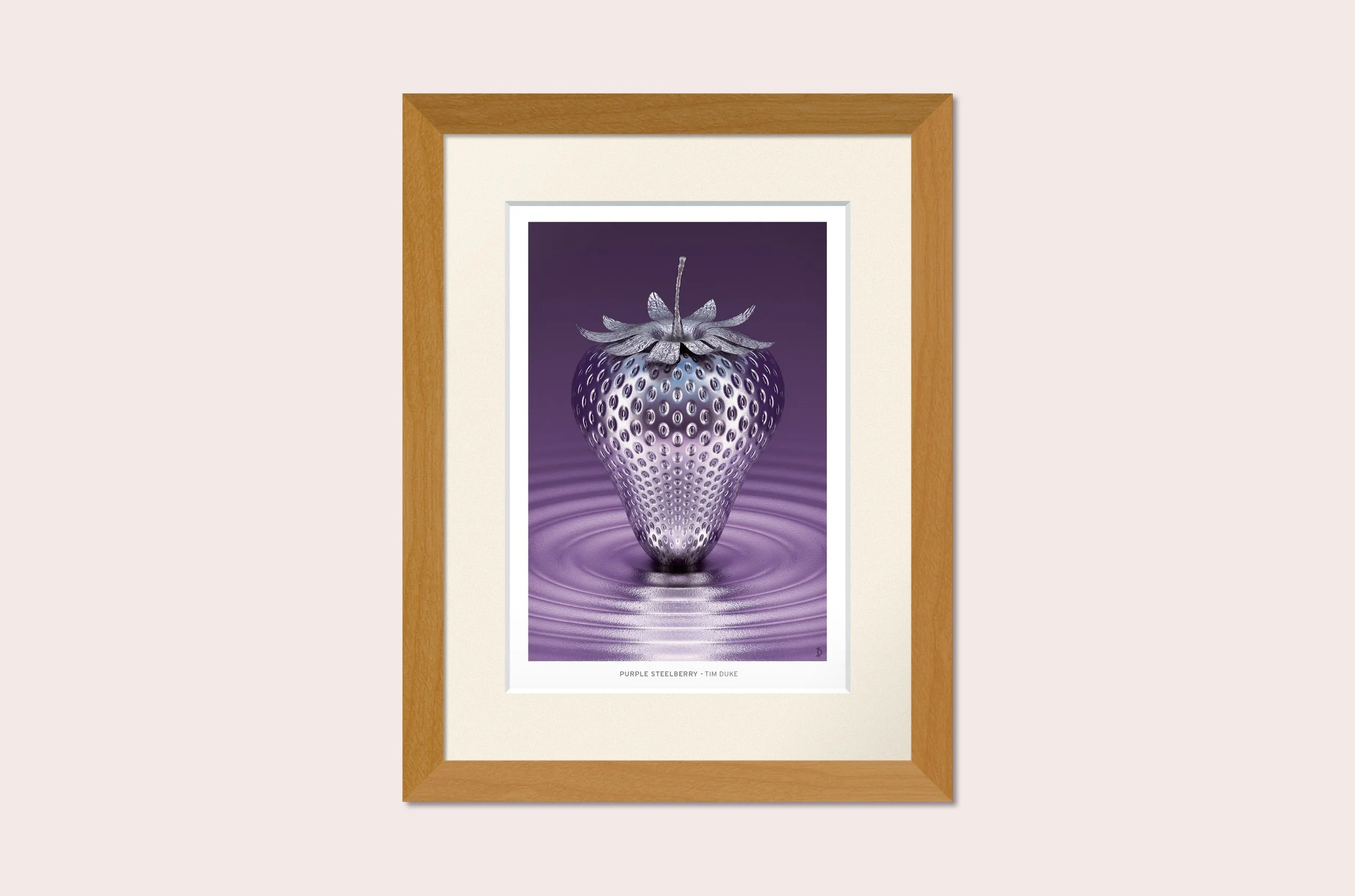 TDFP072 - PURPLE STEELBERRY