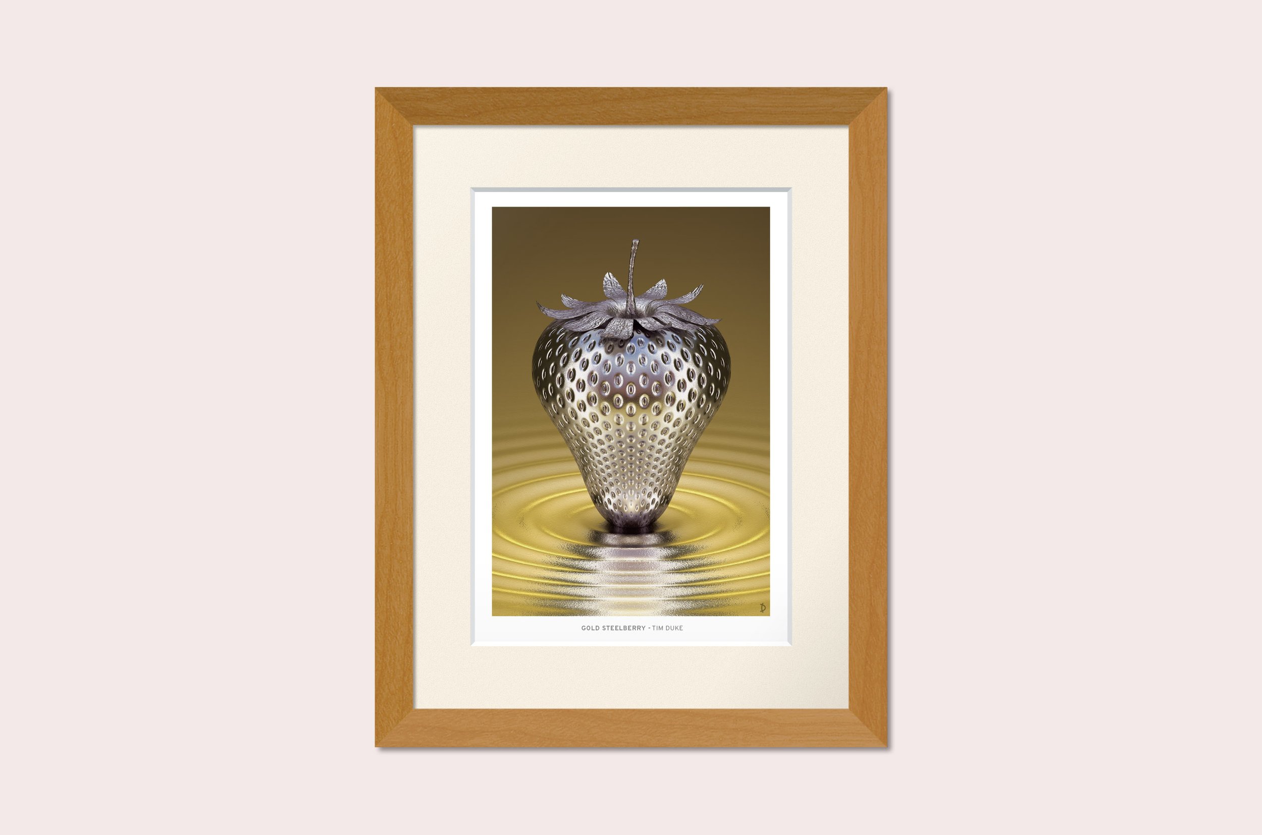 TDFP075 - GOLD STEELBERRY