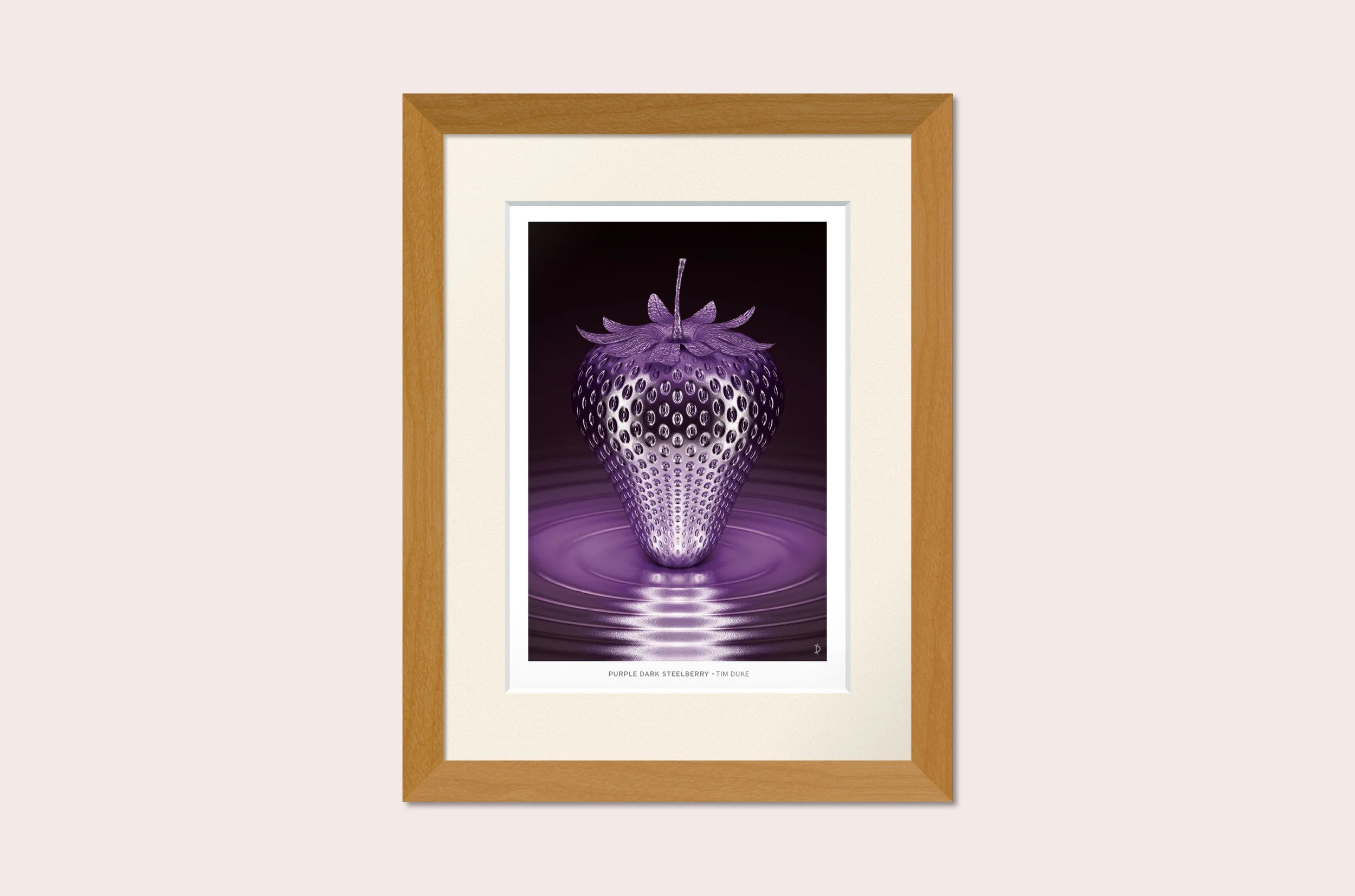 TDFP080 - PURPLE DARK STEELBERRY