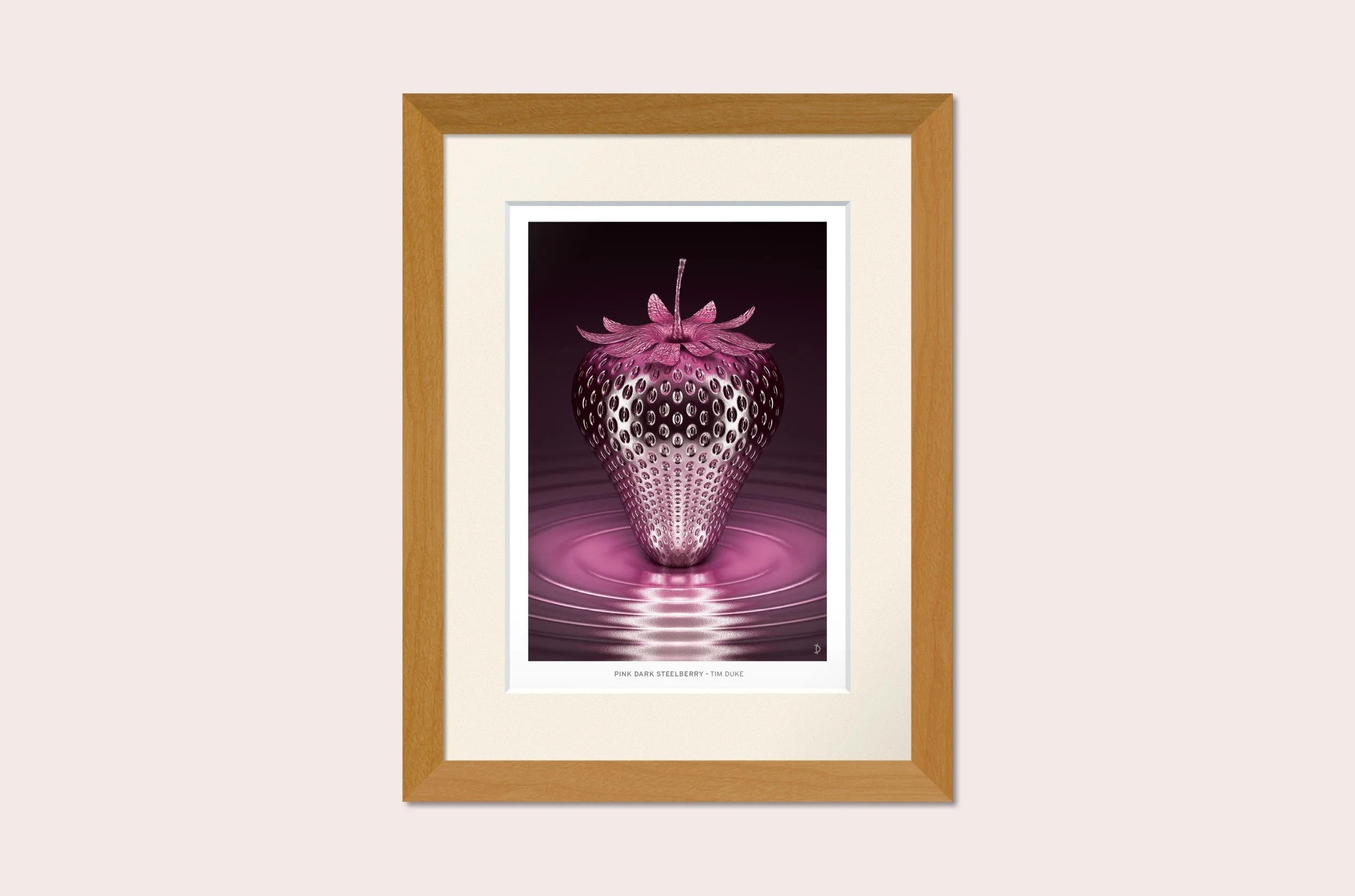 TDFP079 - PINK DARK STEELBERRY