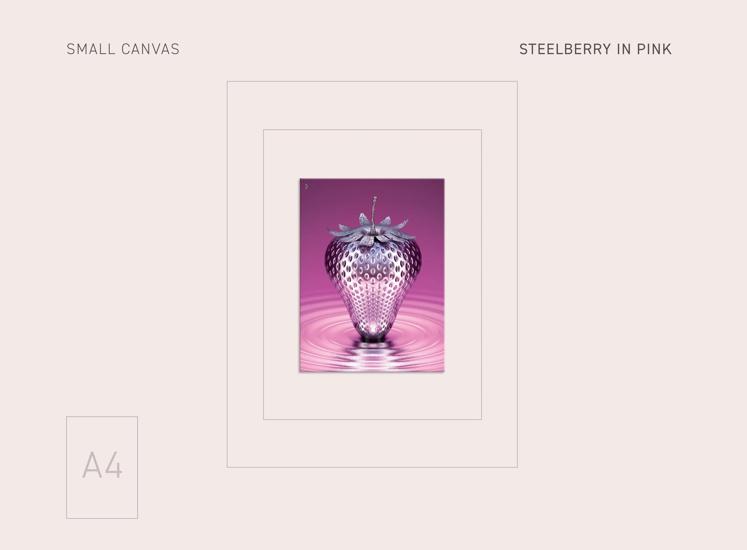 SM-PINK-STEELBERRY-25.jpg