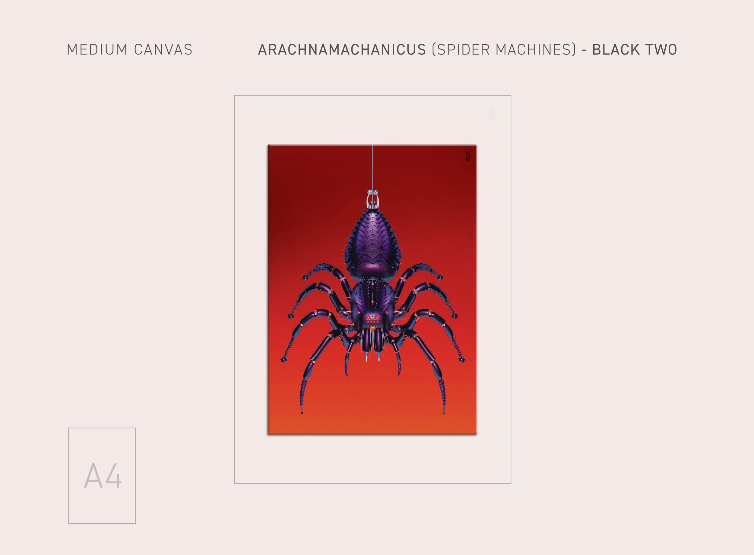 MD-SPIDER-BLACK2-25.jpg