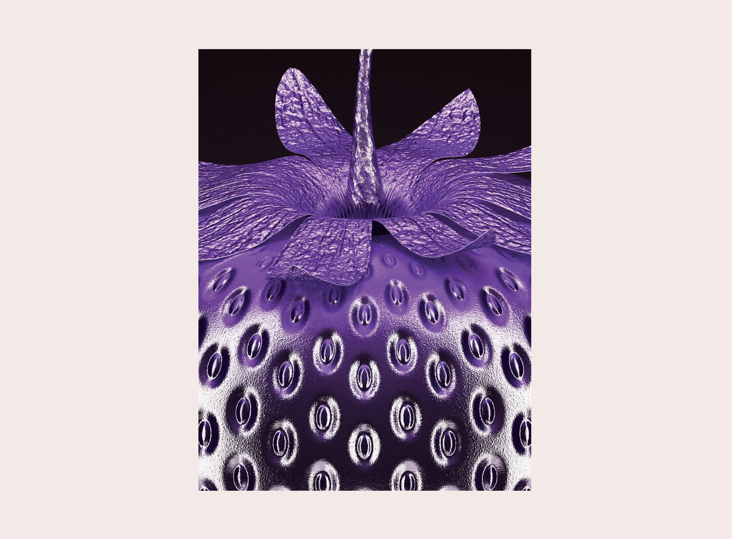 GEN-PURPLE-DARKSBERRY-DETAIL-25.jpg
