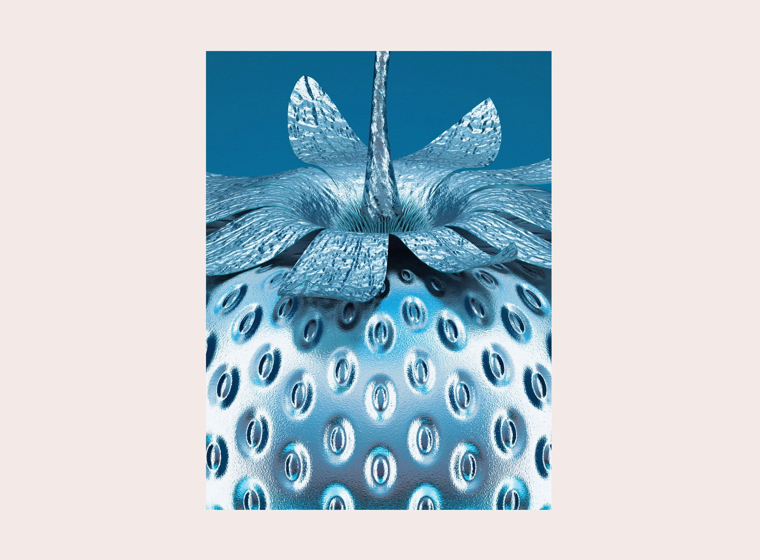 GEN-BLUE-SBERRY-DETAIL-25.jpg