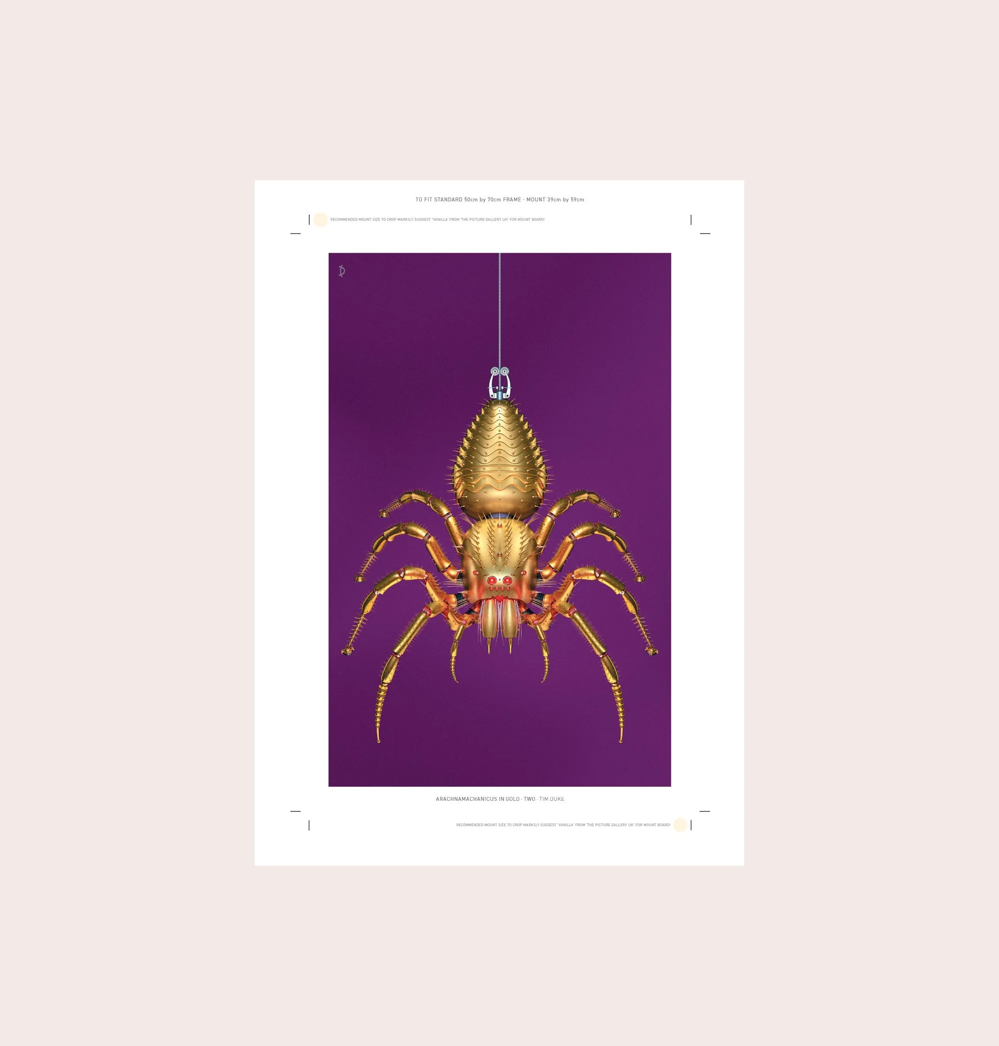 PAPER-SPIDER-GOLD2-26.jpg