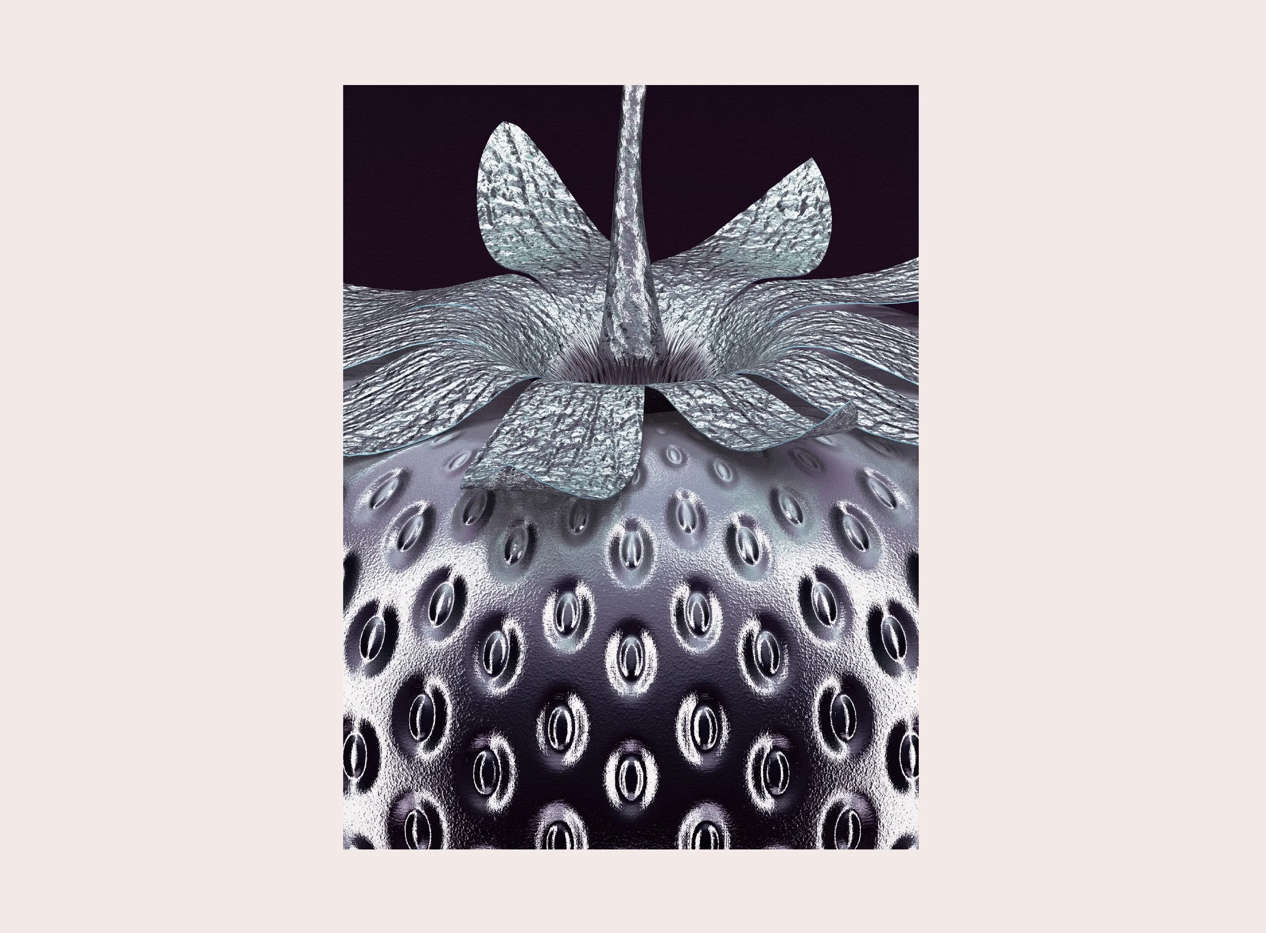 GEN-SILVER-DARKSBERRY-DETAIL-25.jpg