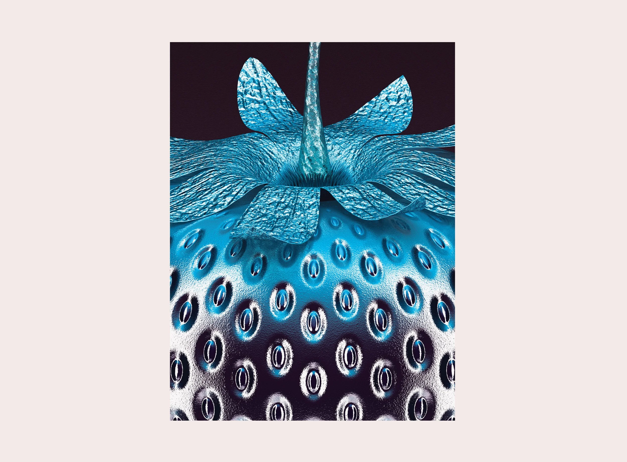 GEN-BLUE-DARKSBERRY-DETAIL-25.jpg