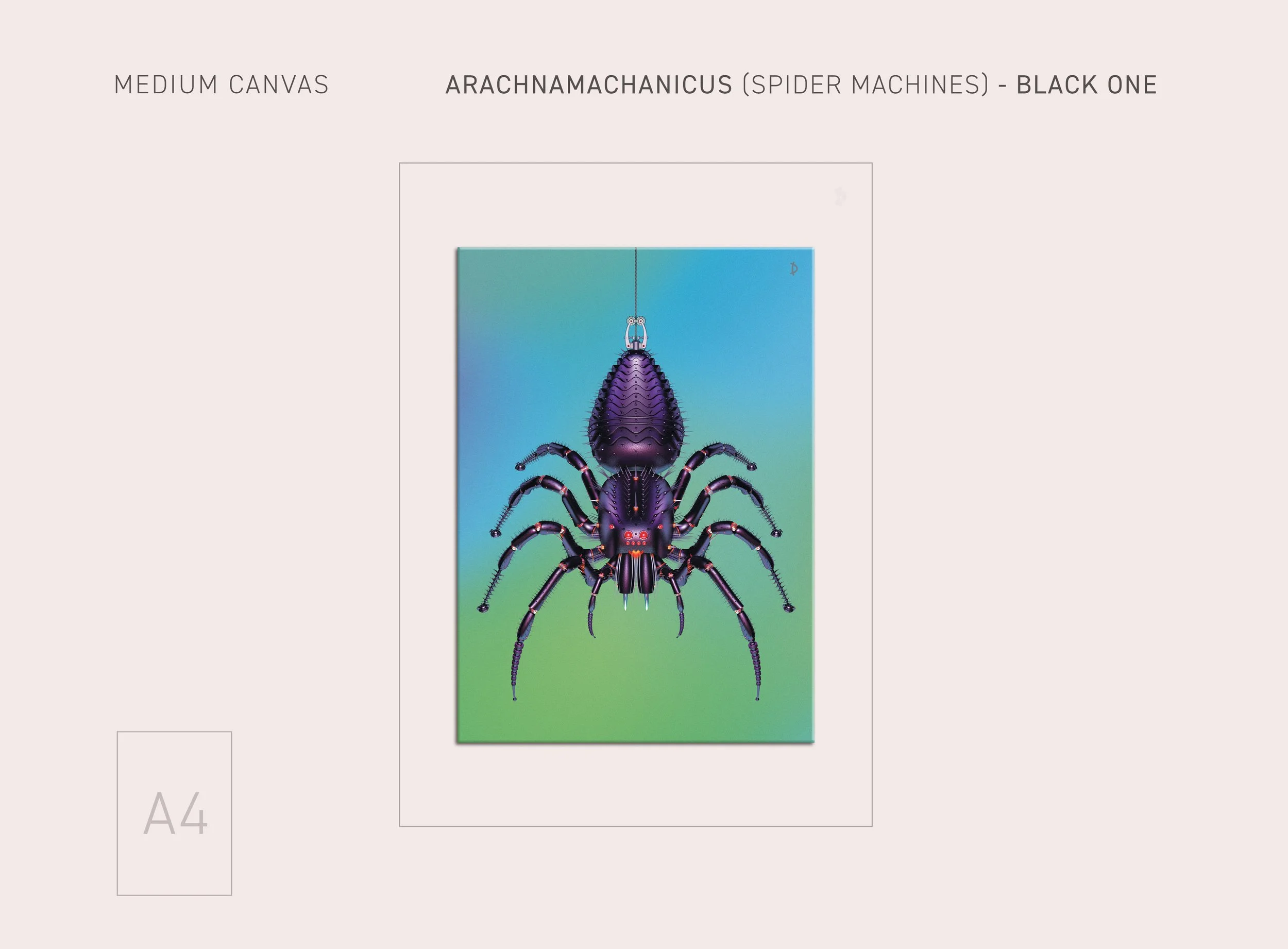 MD-SPIDER-BLACK1-25.jpg