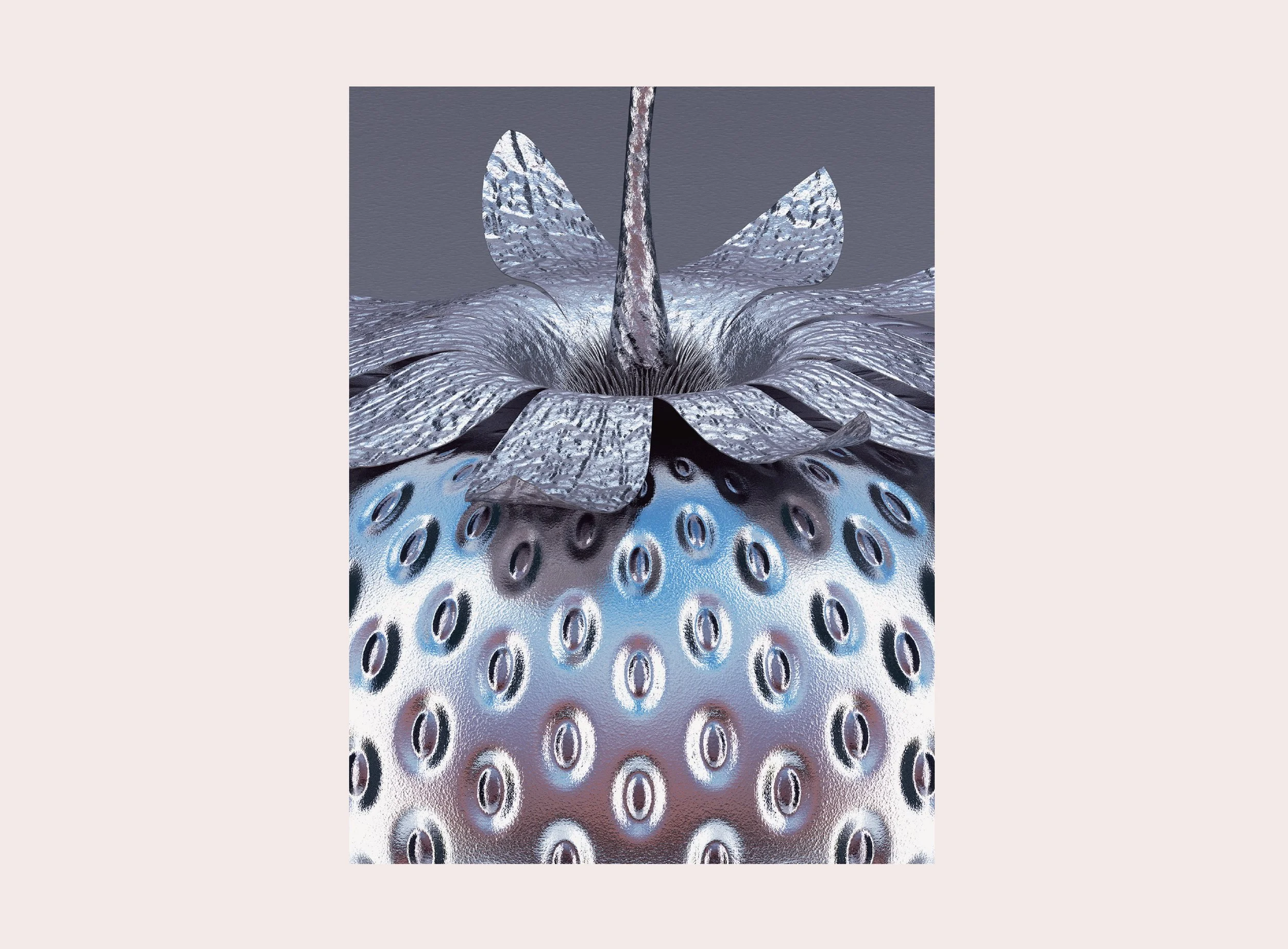 GEN-SILVER-SBERRY-DETAIL-25.jpg