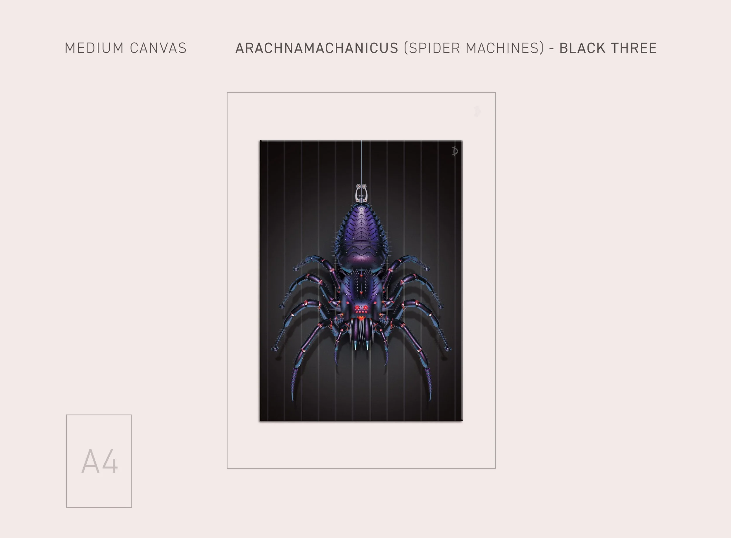 MD-SPIDER-BLACK3-25.jpg