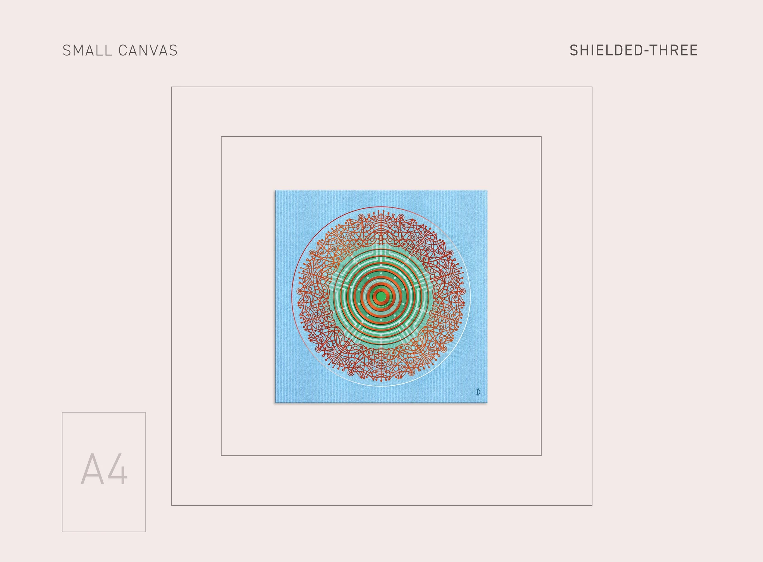 SM-CANVAS-SHIELDED-3.jpg