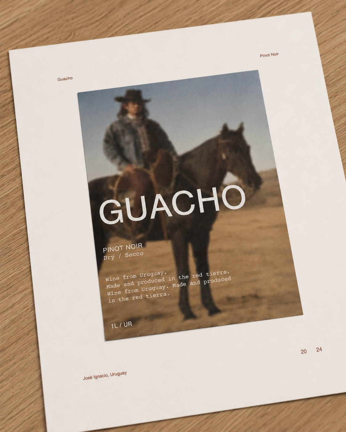 Guacho 1.png