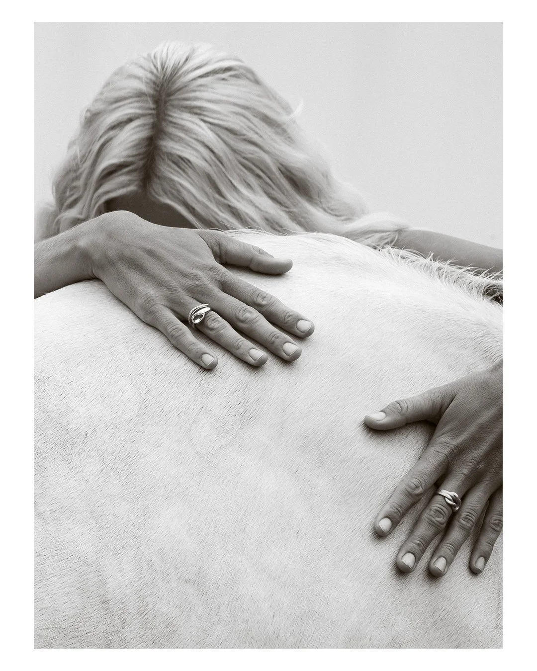 Tomorrow, we unveil something crafted in honour of the horse,  a limited offering rich in meanin (1).jpg