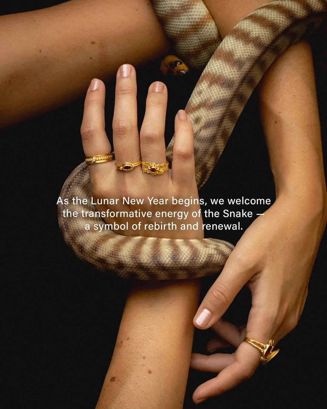 As%20the%20Lunar%20New%20Year%20begins%2C%20we%20welcome%20the%20transformative%20energy%20of%20the%20Snake%20%E2%80%94%20a%20symbol%20of%20rebirth%20and%20re….%20The%20Snake%20invites%20us%20to%20shed%20the%20past%20and%20embrace%20the%20pres…-2.jpg