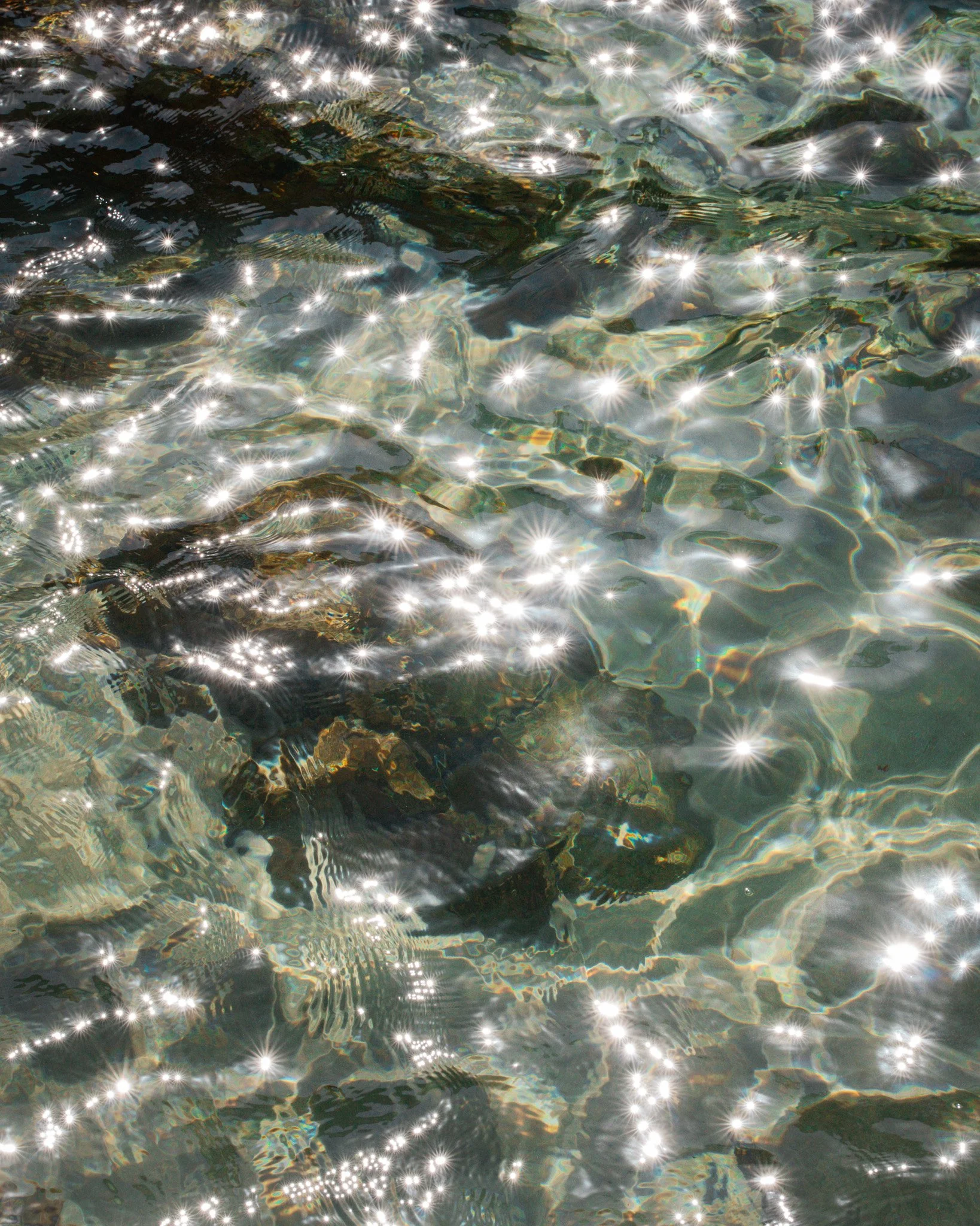 DSC08885-2.jpg