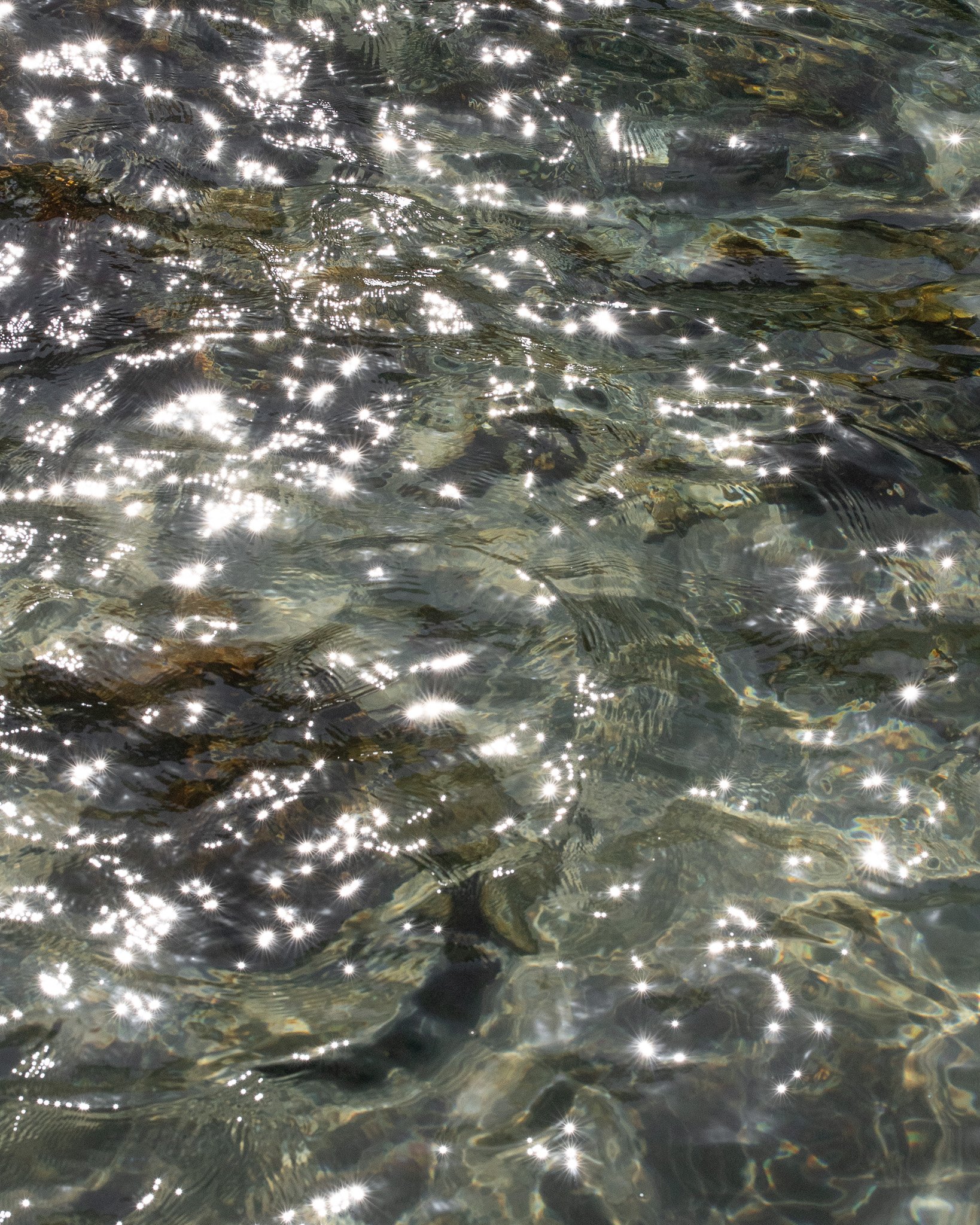 DSC08883.jpg