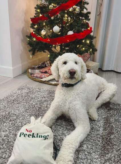 Winston, Geoffrey, &amp; Kristel