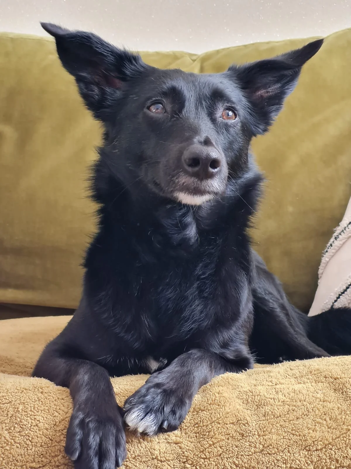 Eva, Gabriele, &amp; Lukas