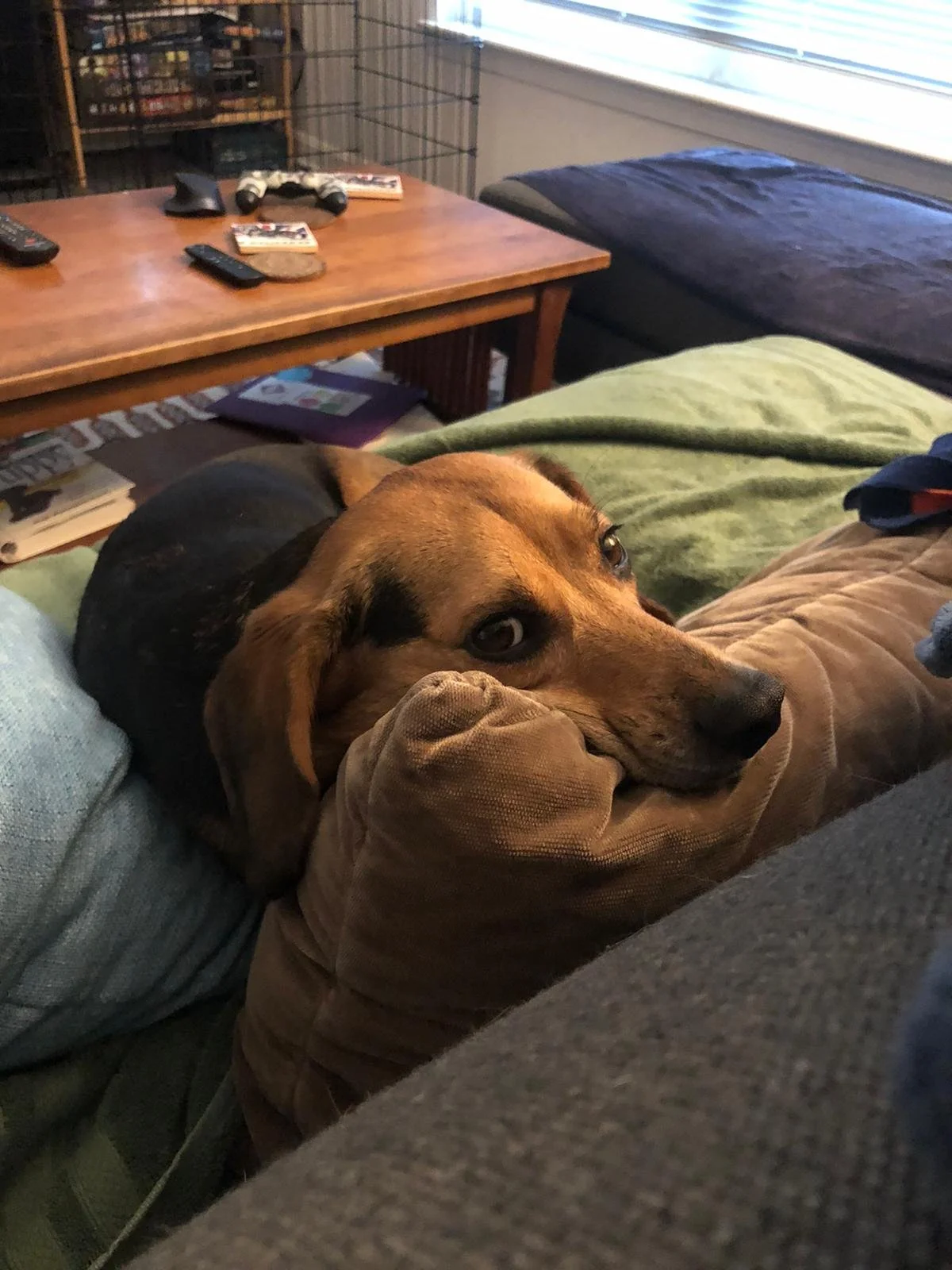 Ryker, Meigan, and Zach