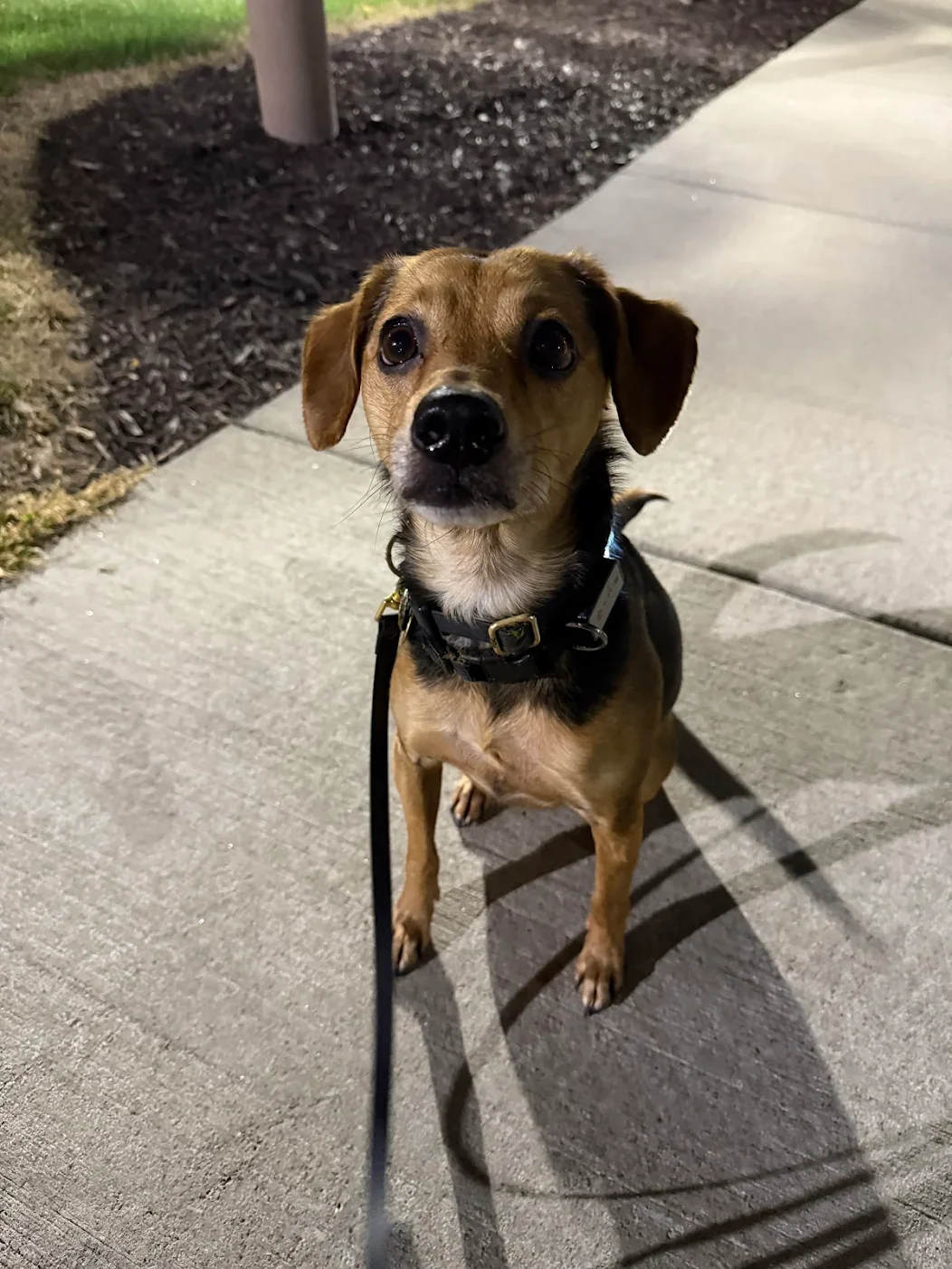 Winston &amp; Jillian