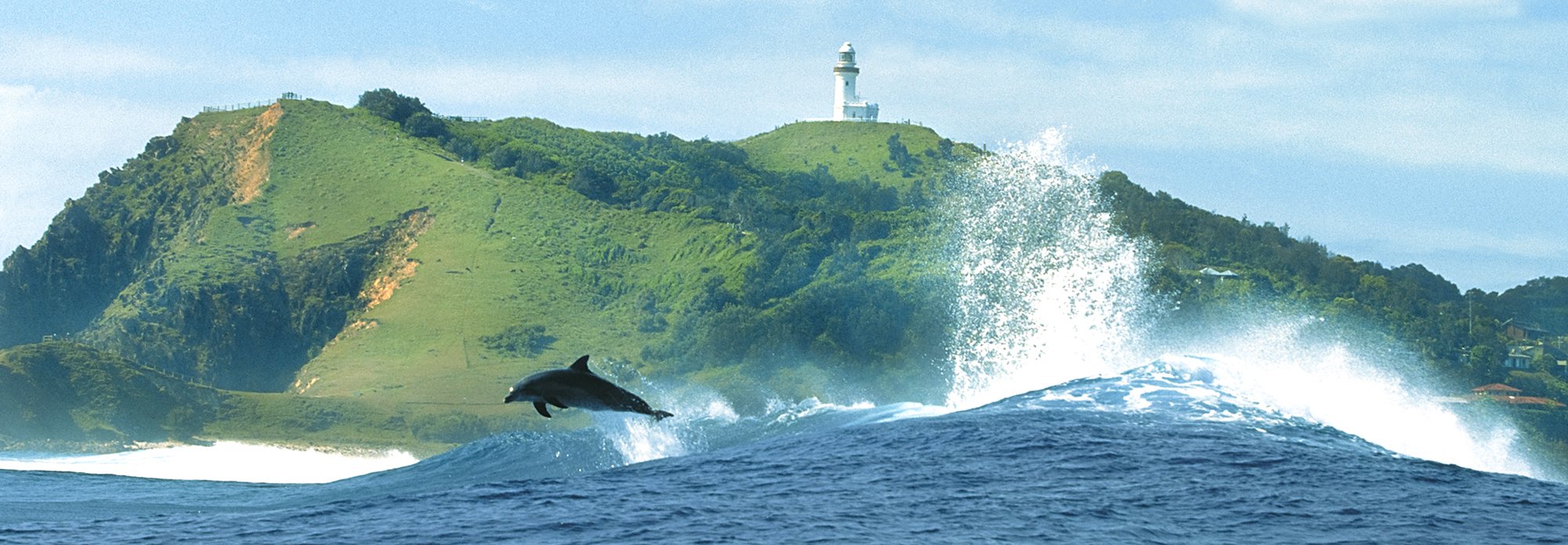 Dolphin Cape Byron 3 - John Derry Photography