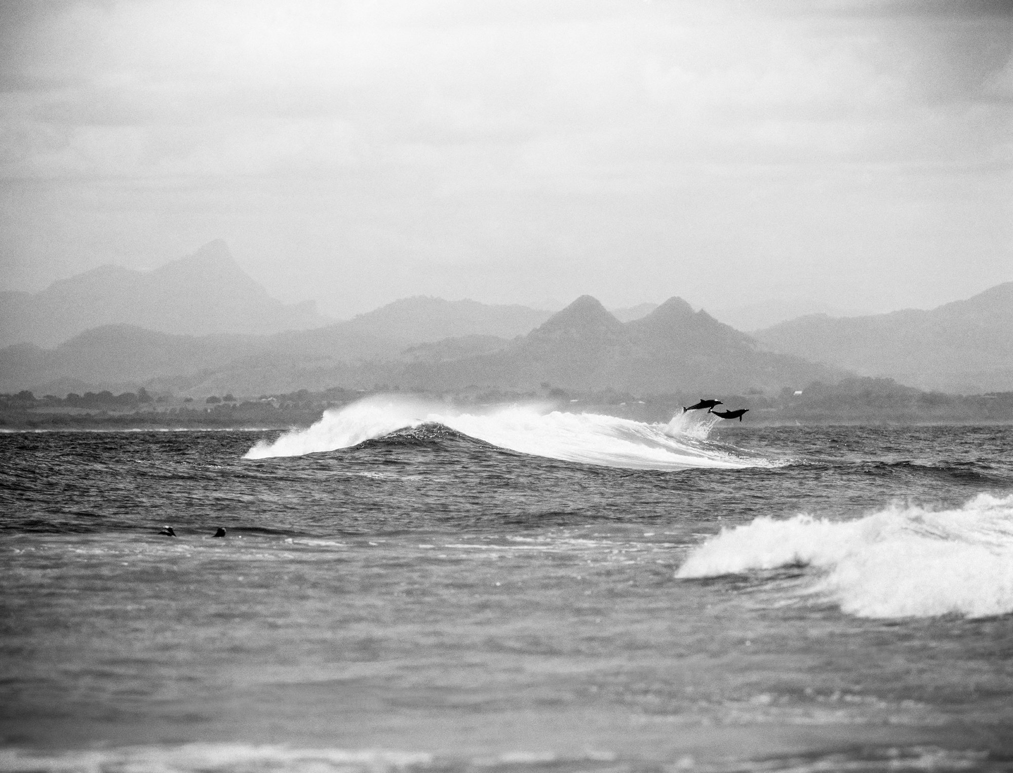 Dolphins & Mountains Byron Bay - John Derrey Photography