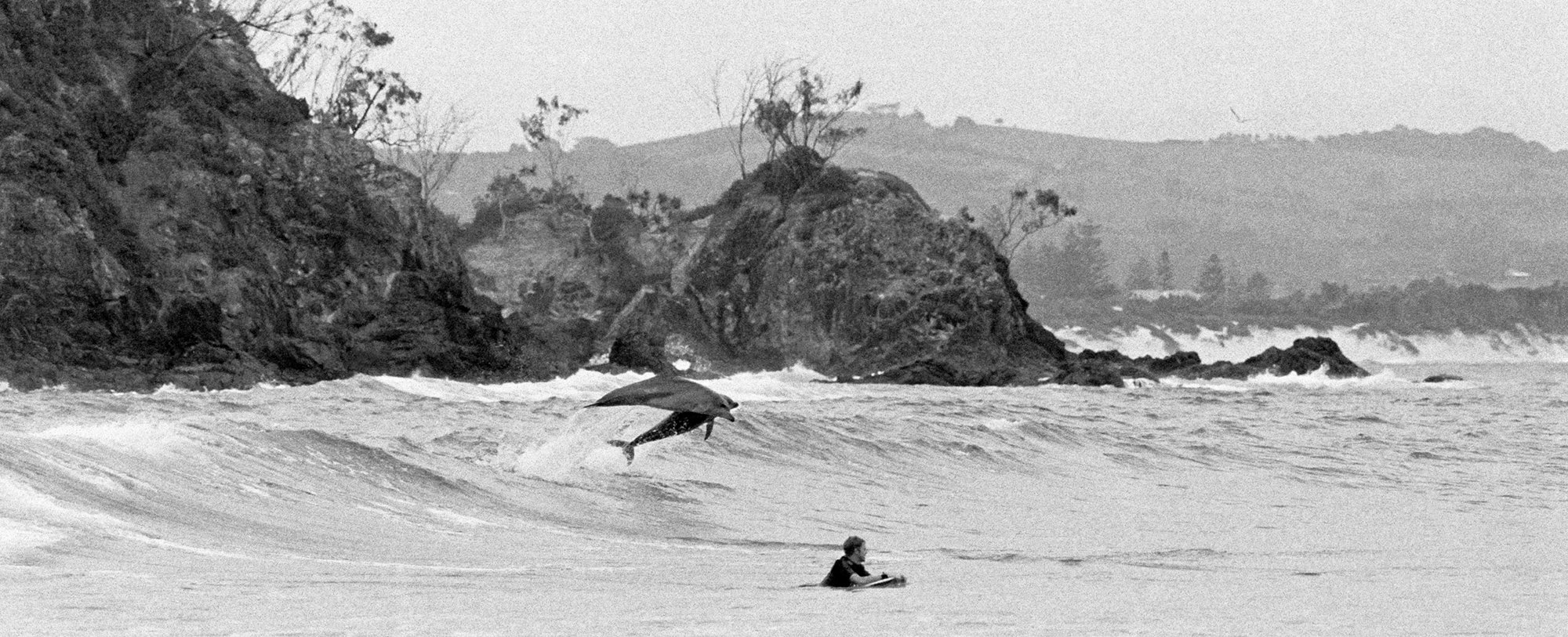 2 Dolphins The Pass - John Derrey Photography
