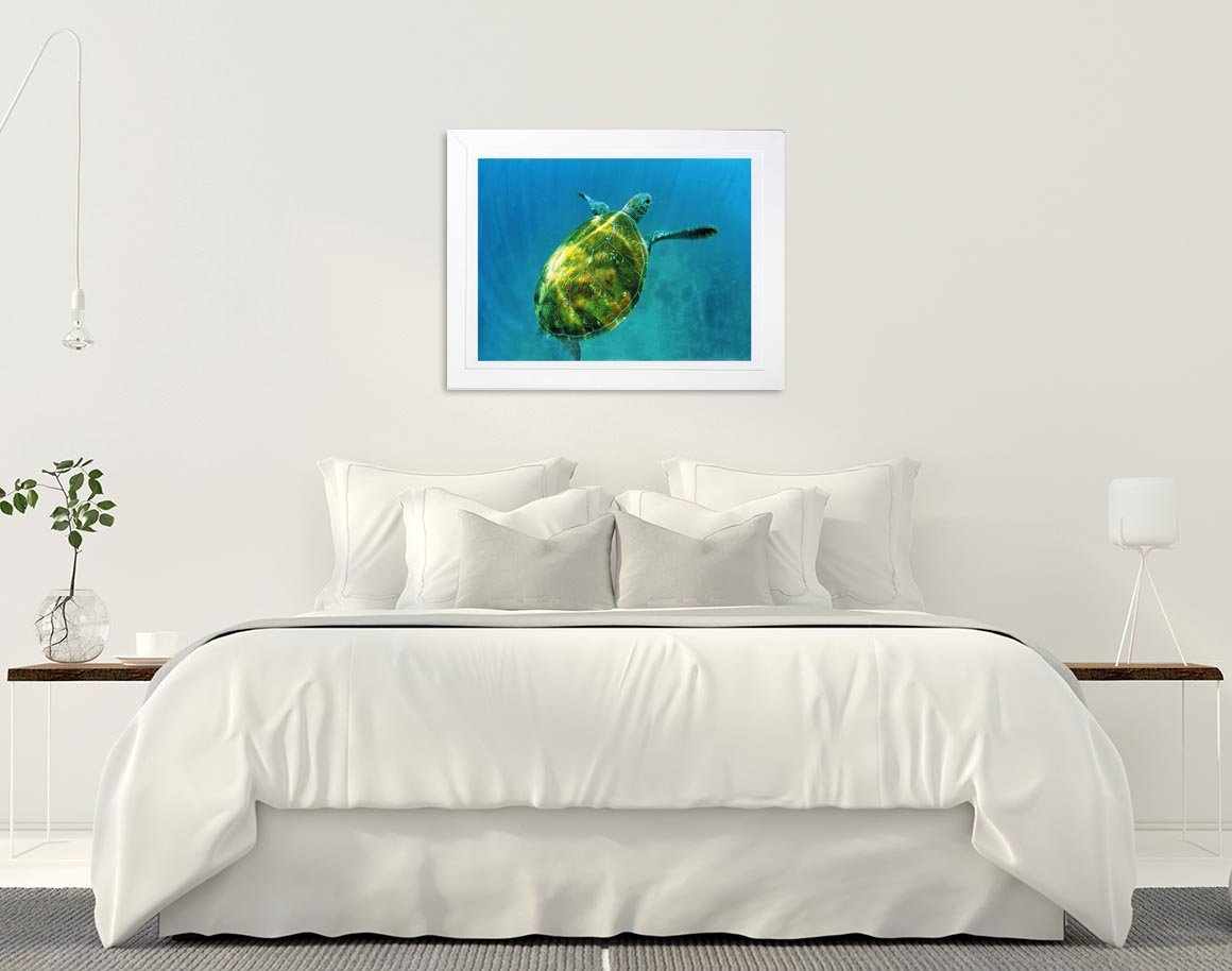 TURTLE WEB BED.jpg