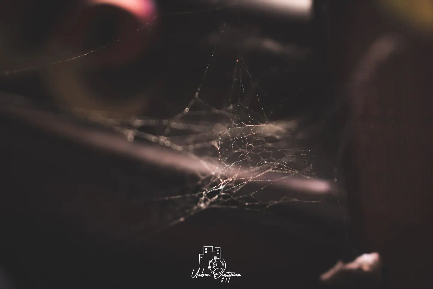The weaver is a key component of the universe. Witchcraft teaches us the symbolic meanings of spiders and how their webs are intricately woven with lore and magick. 

This is a photo from my Witch's Temple photo series.

.

#photographer #photography