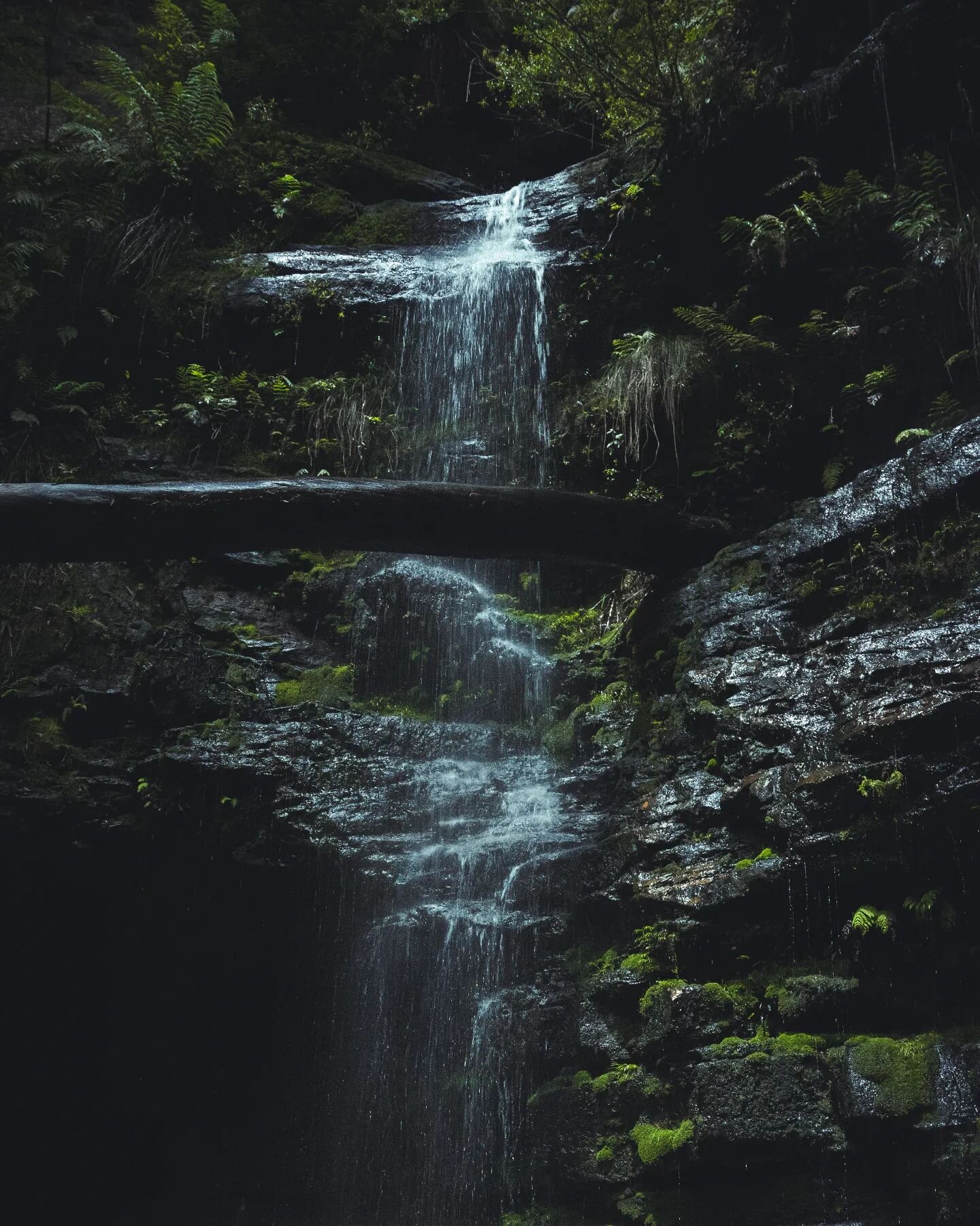 Saturday was the first time in a while that I was able to stretch my photography muscles again. This waterfall was the perfect subject

.

#photographer #photography #nature #naturephotography #waterfall #bluemountains #hikingadventures #hiking #adve