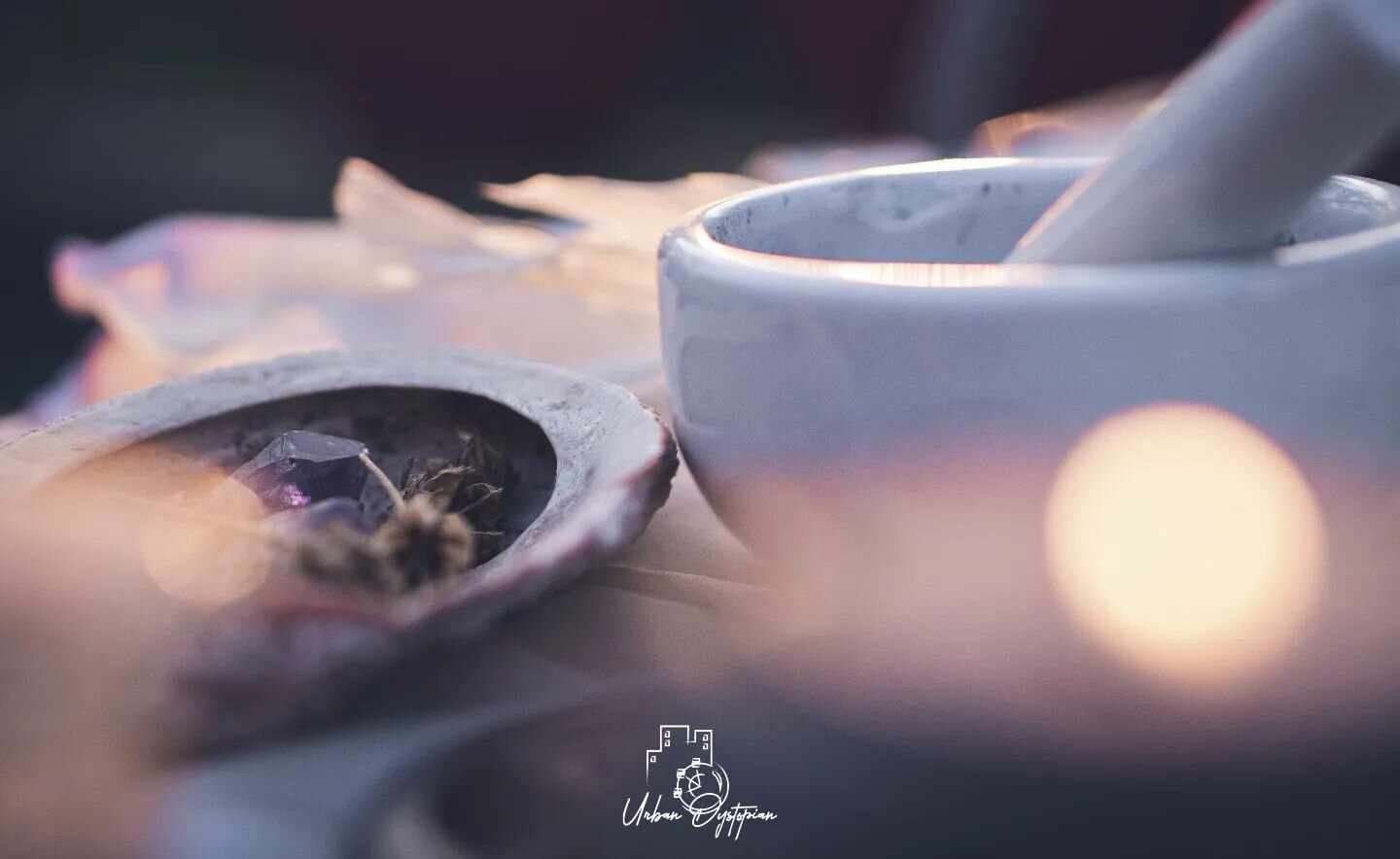 Mortar and pestle, an abalone shell holding dried wisteria and amethyst. Gold and purple seem to be the magickal colours present here.

These images are from my Witch's Temple photo series.

.

#photographer #photography #witchyaesthetic #witchesofin