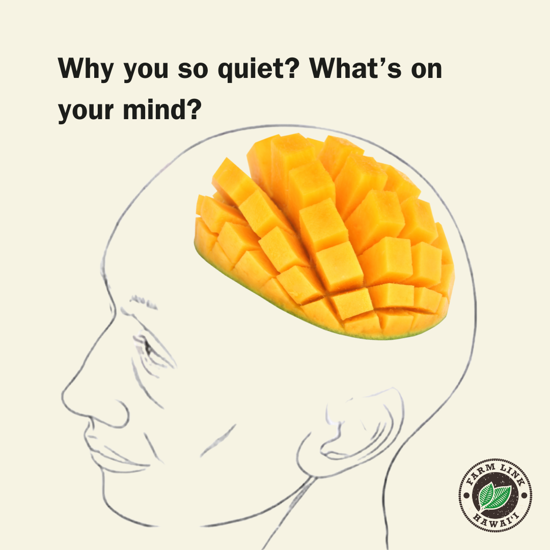 Farm Link memes (3).png