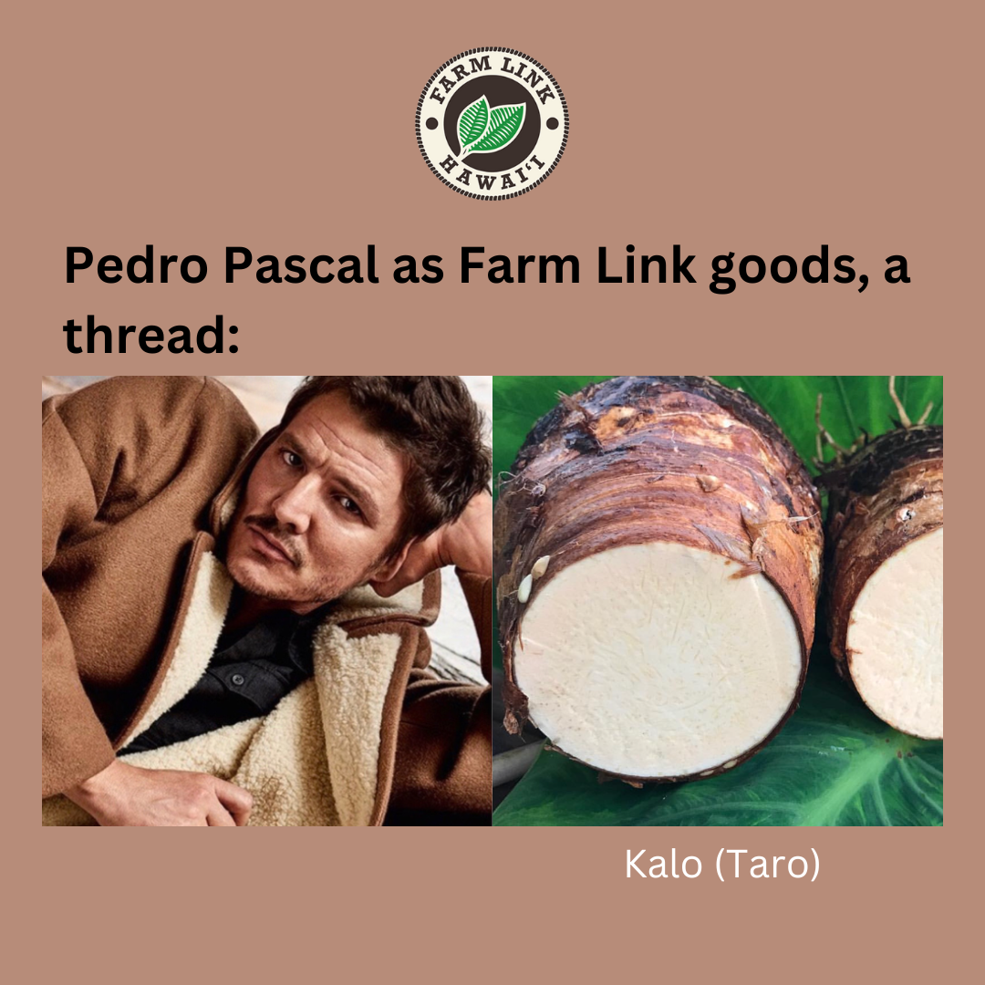 FARM LINK MEMES - If I don't eat local produce every day my condition worsens.png