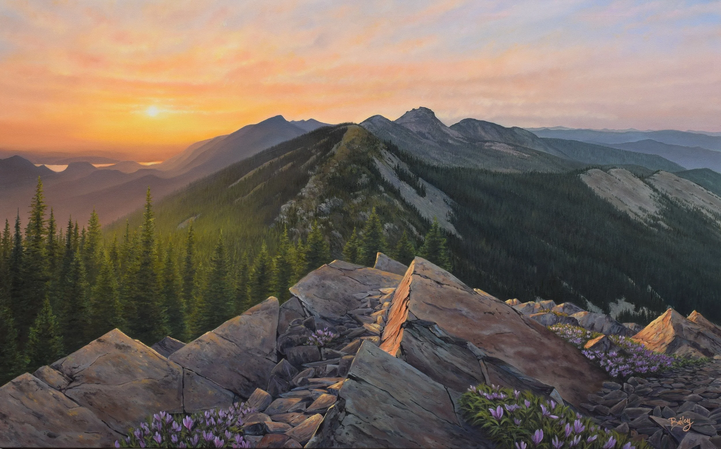 Auric Light | Cabinet Mountains | 30"x48" Oil on Canvas | AVAILABLE SOON