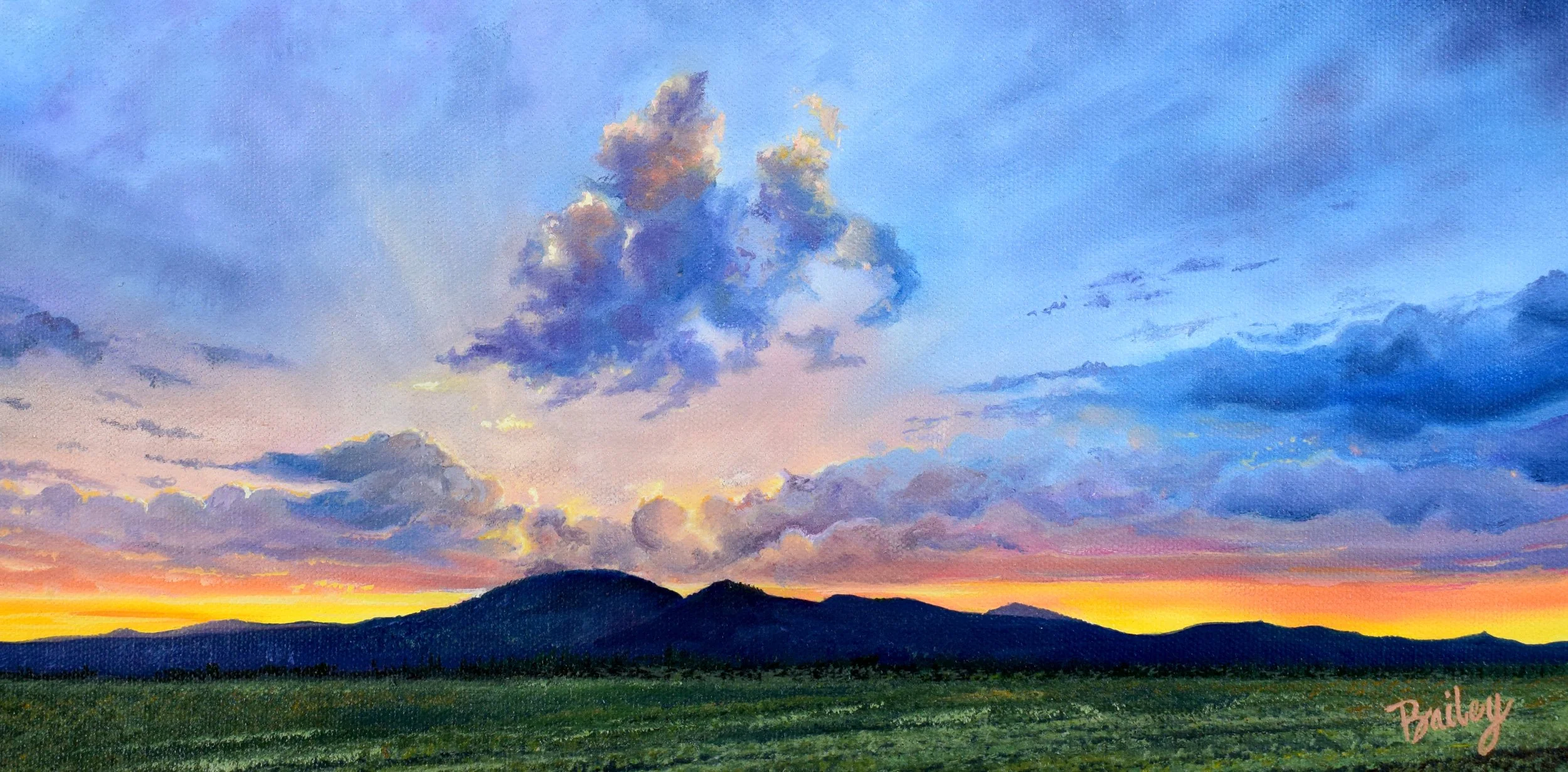 Hayden In May - 8"x16" Oil on Canvas - SOLD