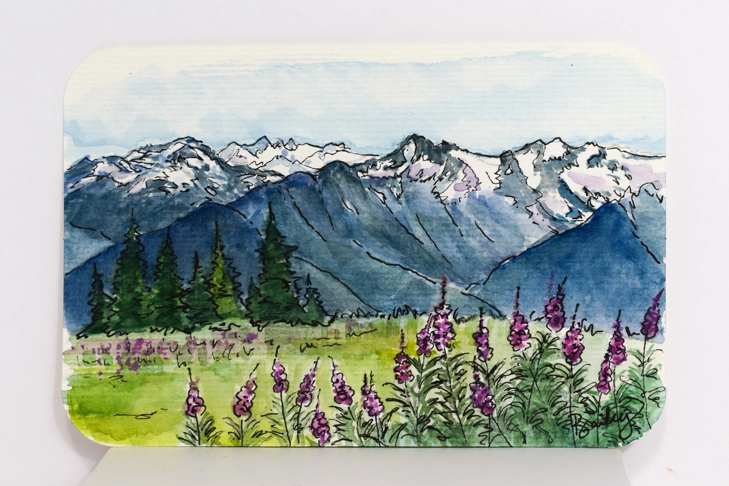 Hurricane Ridge - Olympic National Park - 4"x6" Watercolor Postcard - SOLD