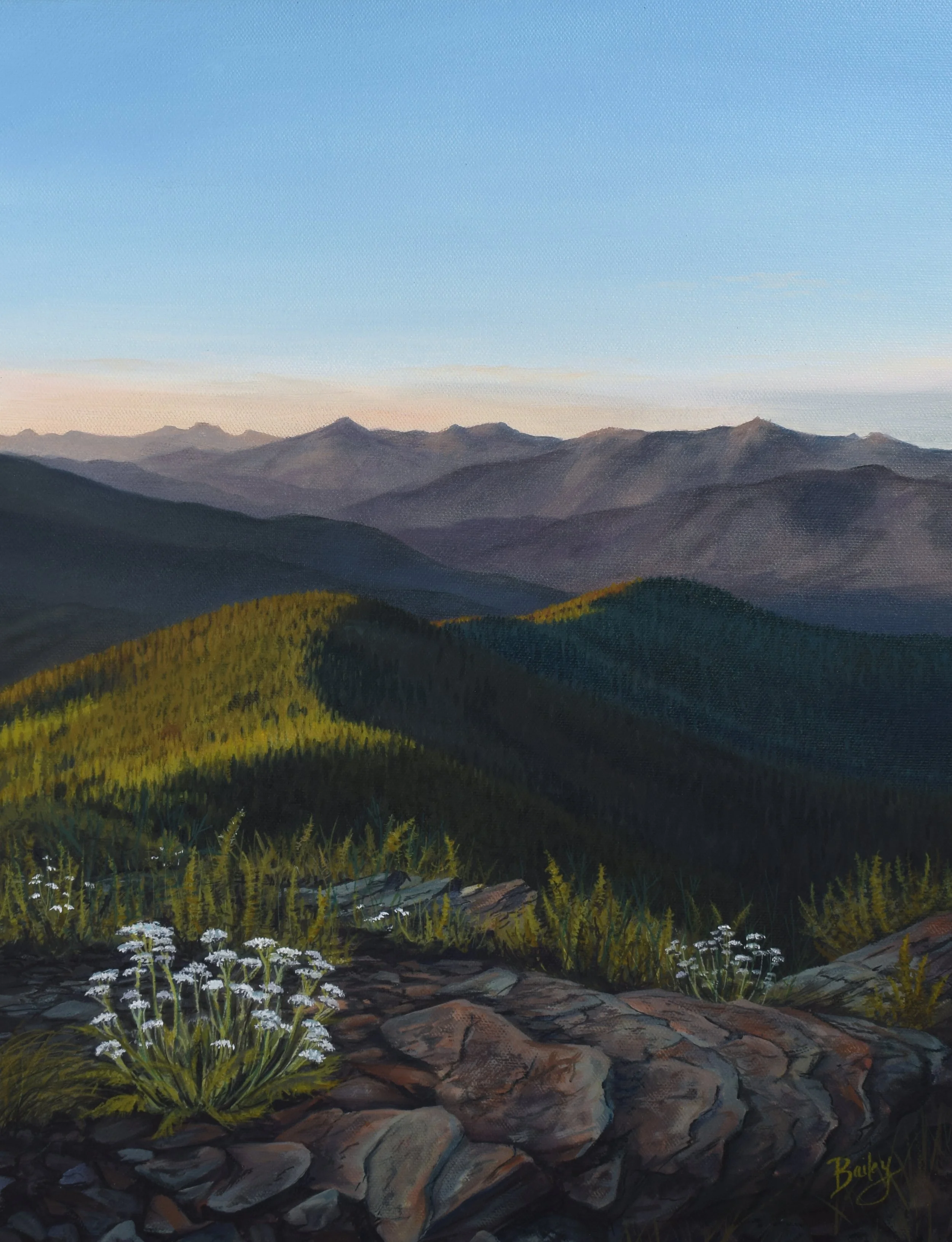 "Sun-Kissed" | Bitterroot Mountains | 14"x18" Oil on Canvas | AVAILABLE SOON