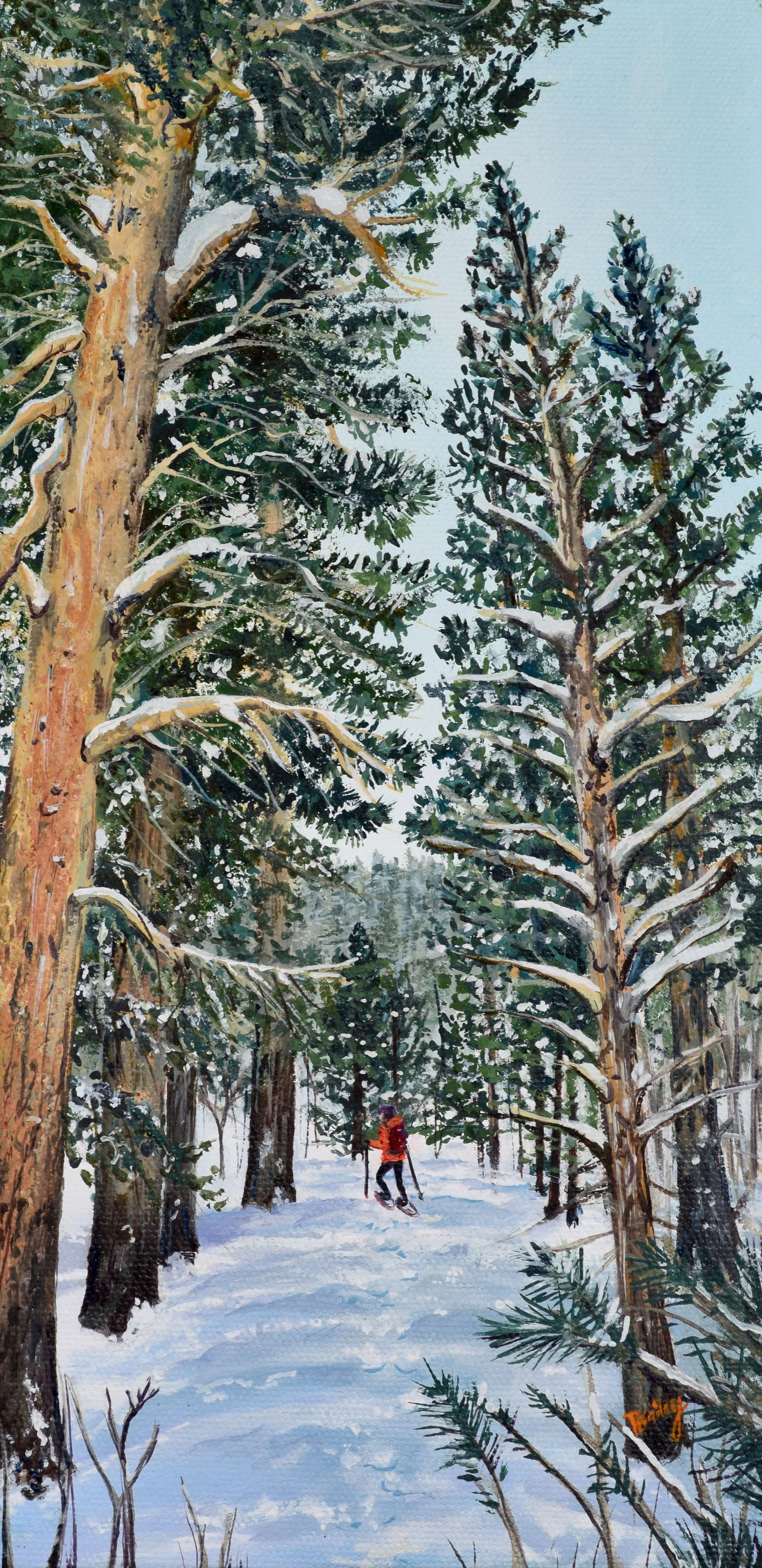 37.471193˚ N, 118.725982˚ W - Tom's Place, California - 6"x12" Oil on Canvas - SOLD