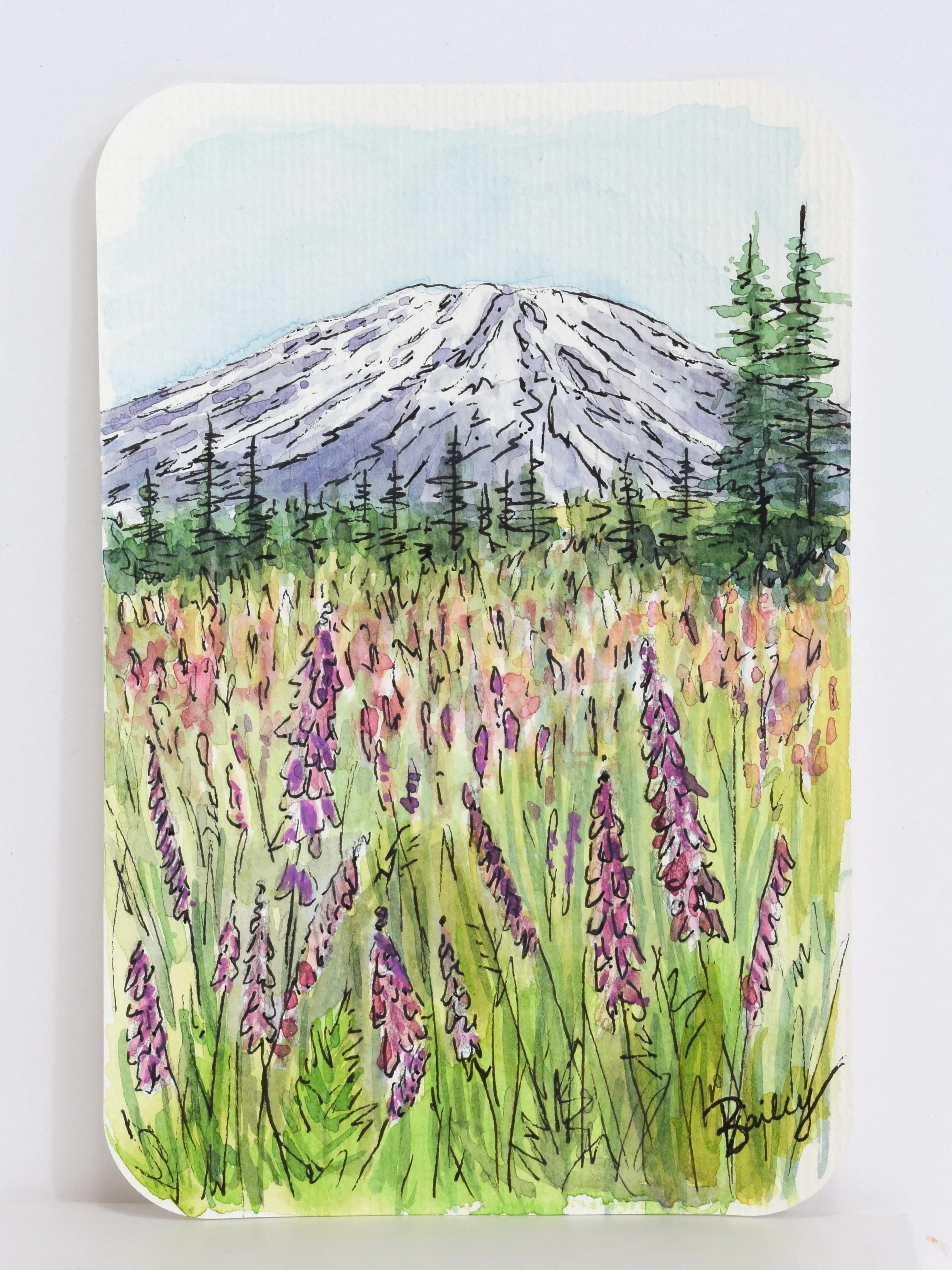 Mount St. Helens - Washington - 4"x6" Watercolor Postcard - AVAILABLE