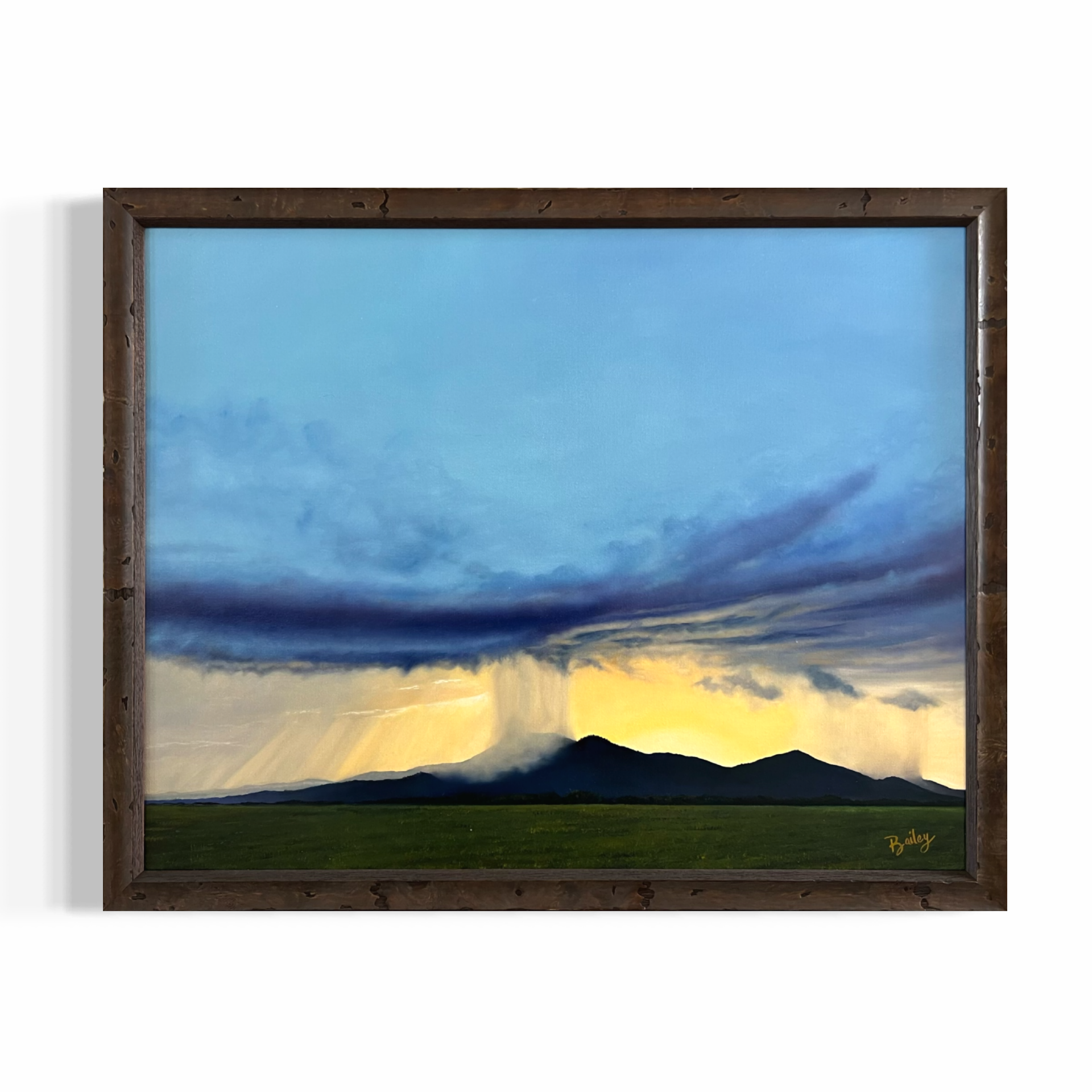 Hayden in July - Hayden, Idaho - 22"x28" Oil on Canvas | $1,750 | Available in Shop