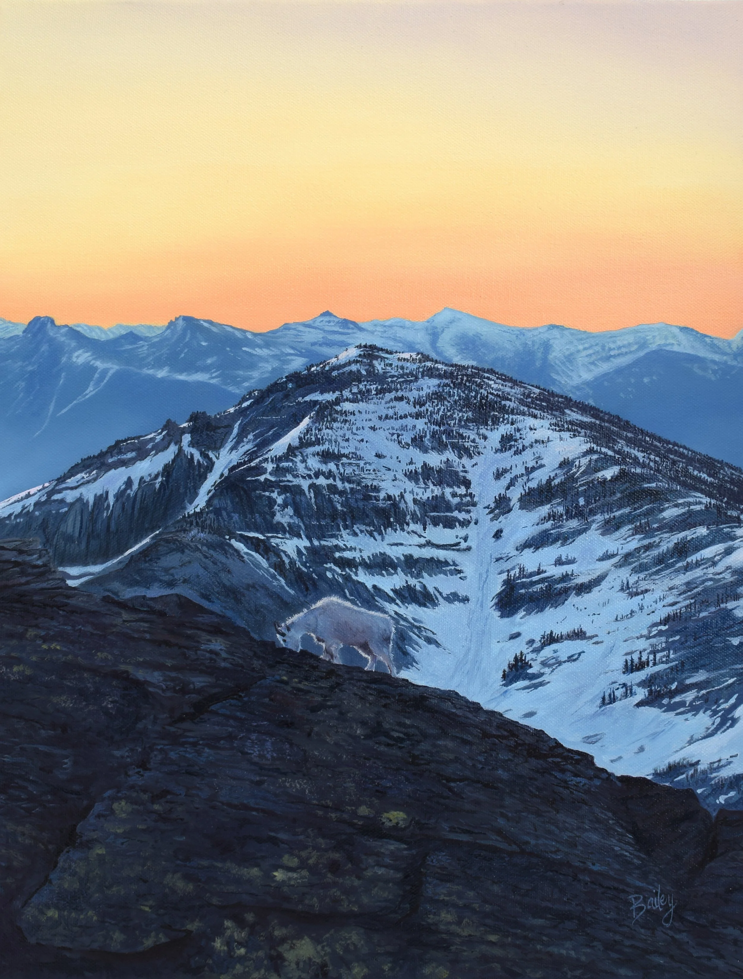 The Goat - Scotchman Peaks Wilderness Area | Ephemeral Light Collection | 14"x18" Oil on Canvas | AVAILABLE IN SHOP